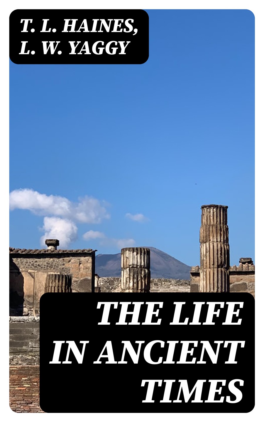 The Life In Ancient Times T L Haines L W Yaggy