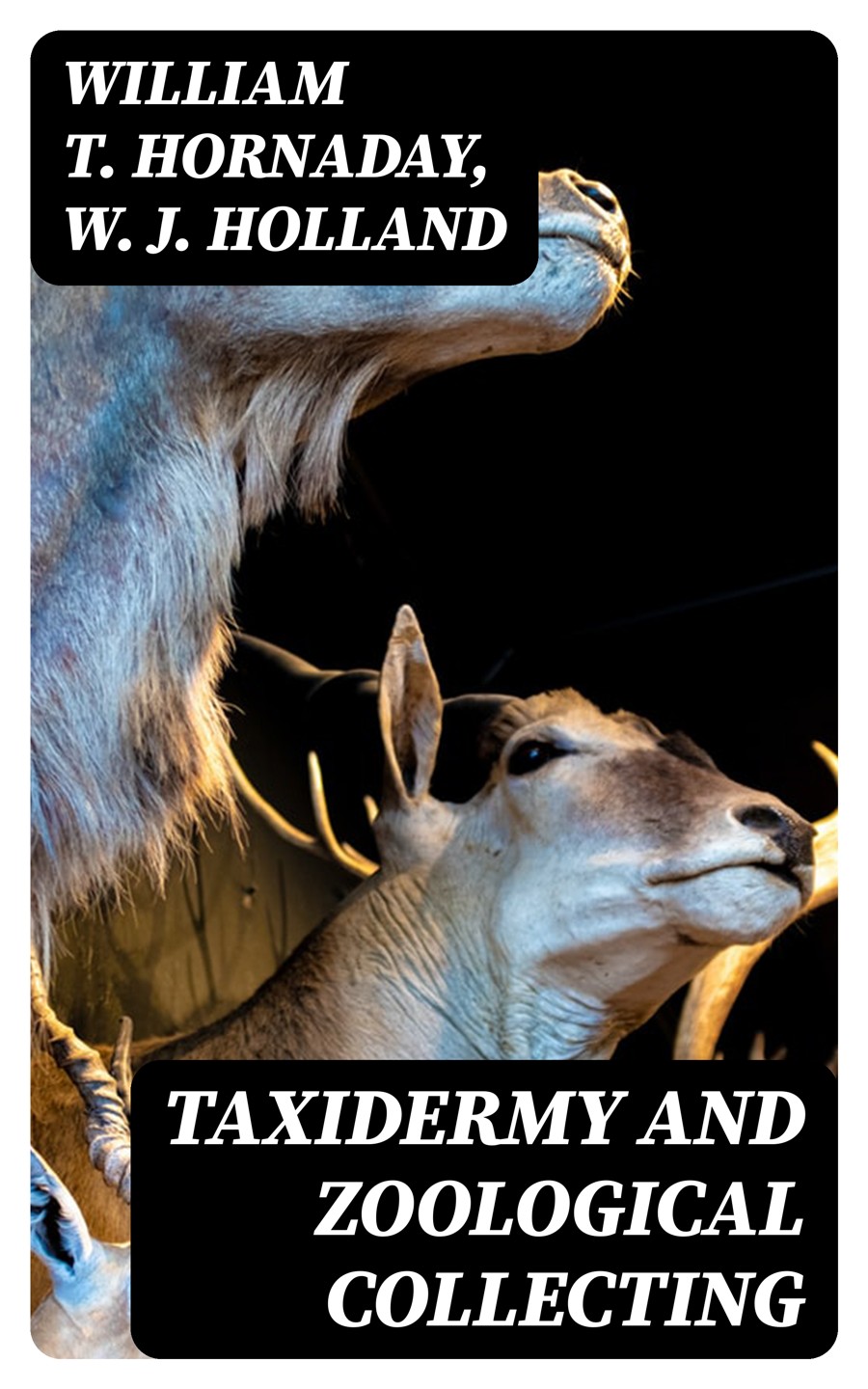 Taxidermy And Zoological Collecting William T Hornaday W J Holland