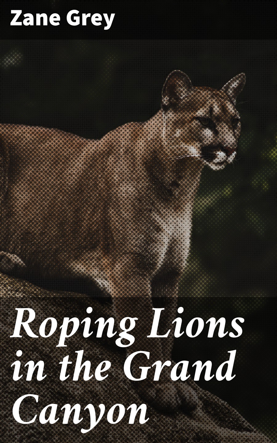Roping Lions In The Grand Canyon Zane Grey