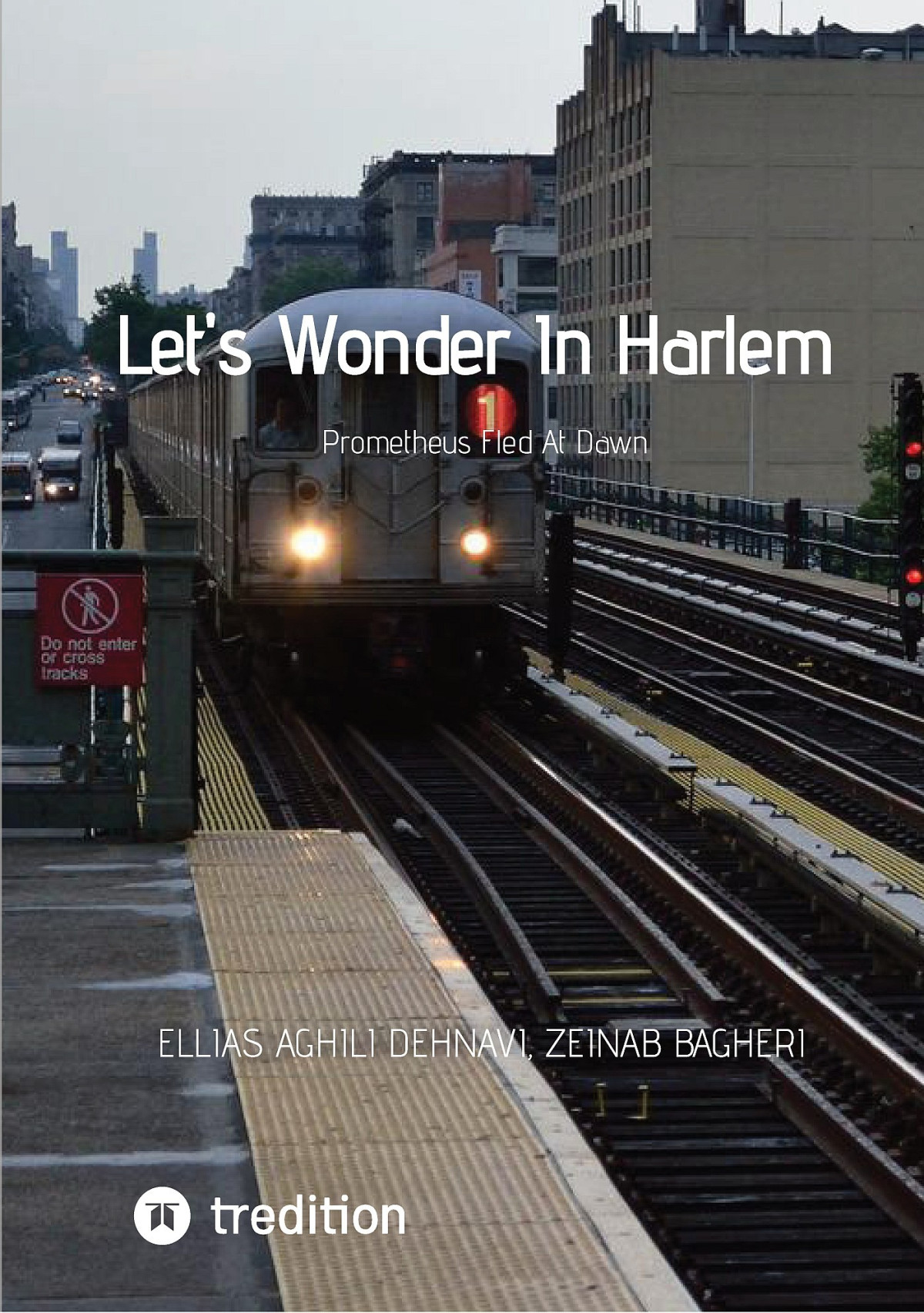 Lets Wonder In Harlem Zeinab Bagheri Mahdi Amini