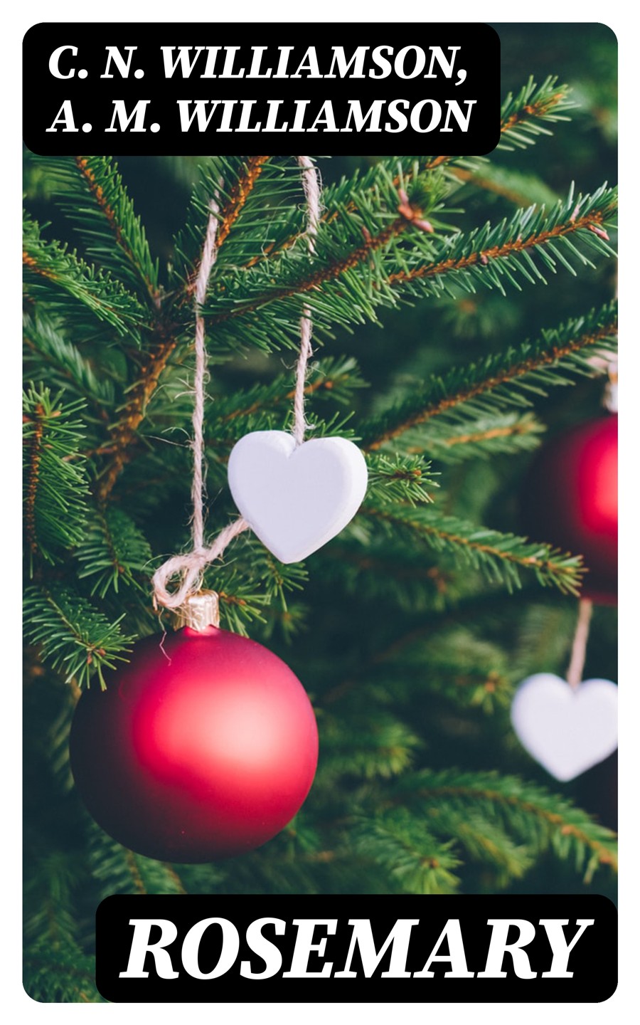 Rosemary C N Williamson A M Williamson