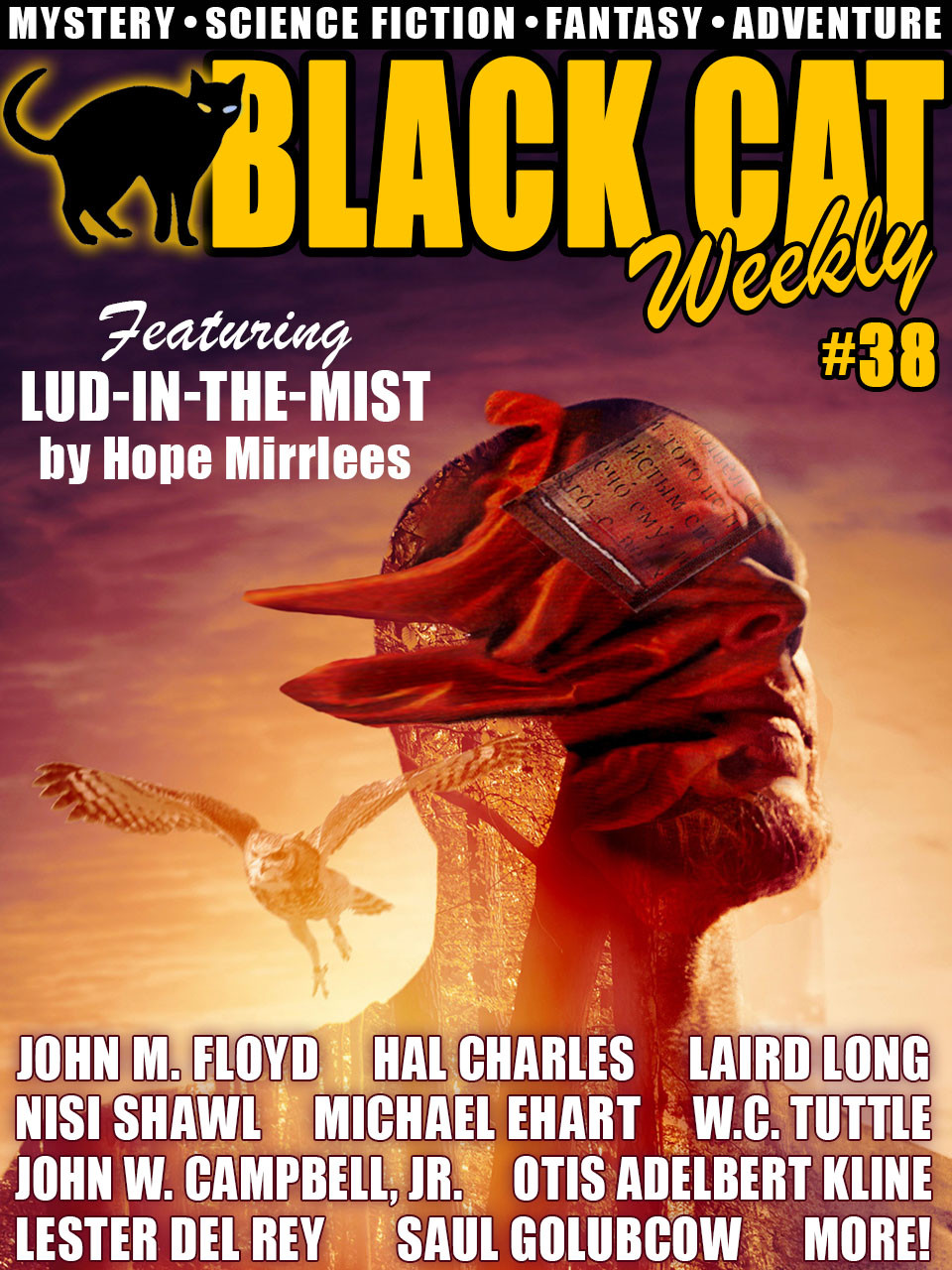 Black Cat Weekly 38 Laird Long John M Floyd Hal Charles Saul Golubcow