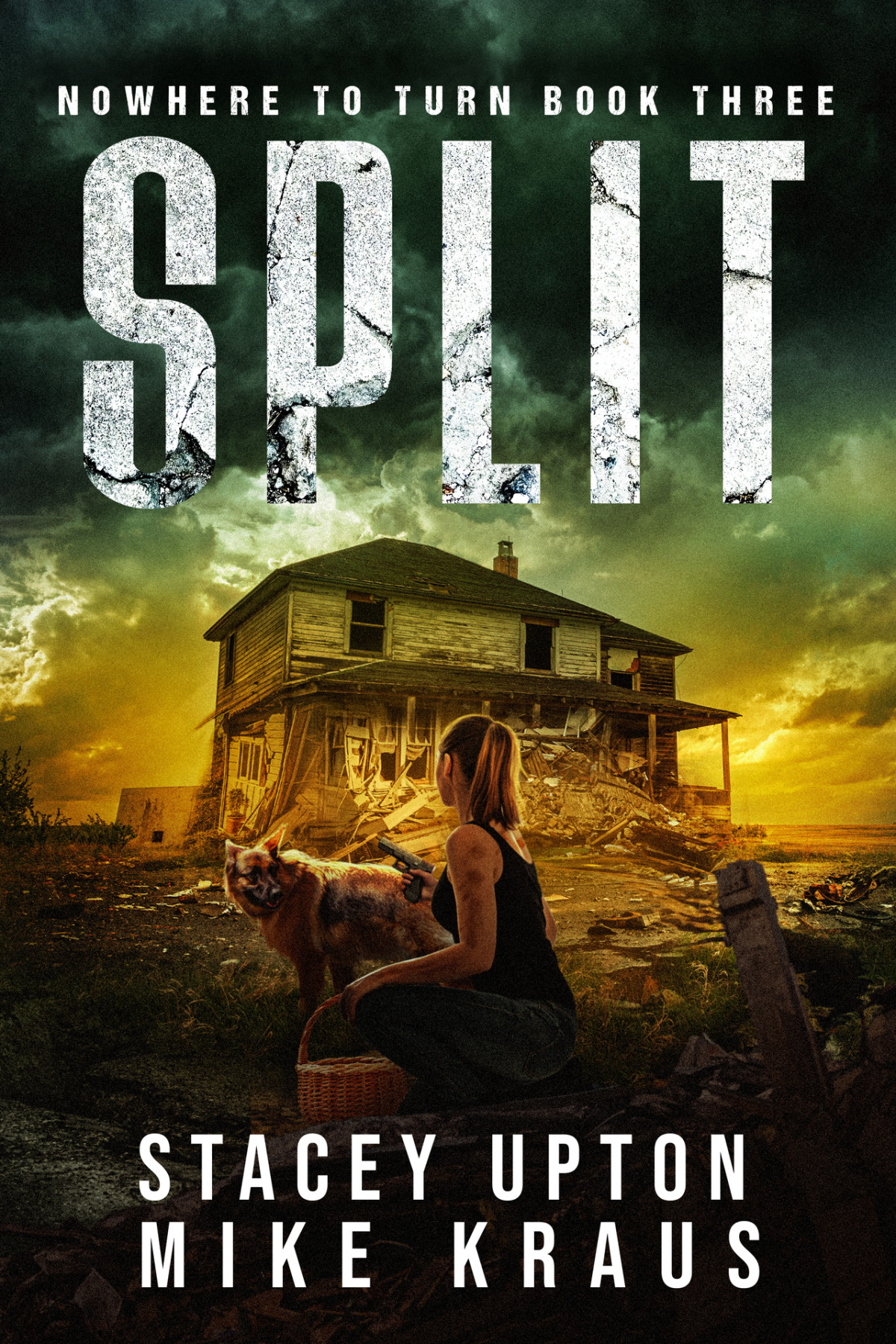 Split Nowhere To Turn Book 3 A Thrilling Postapocalyptic Series Stacey Upton Mike Kraus