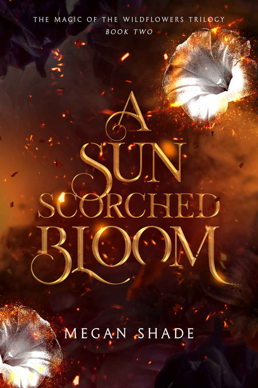 A Sun Scorched Bloom Megan Shade