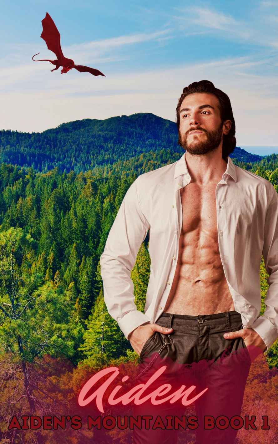 Aiden Aidens Mountains Shifters 1 Af Montoya