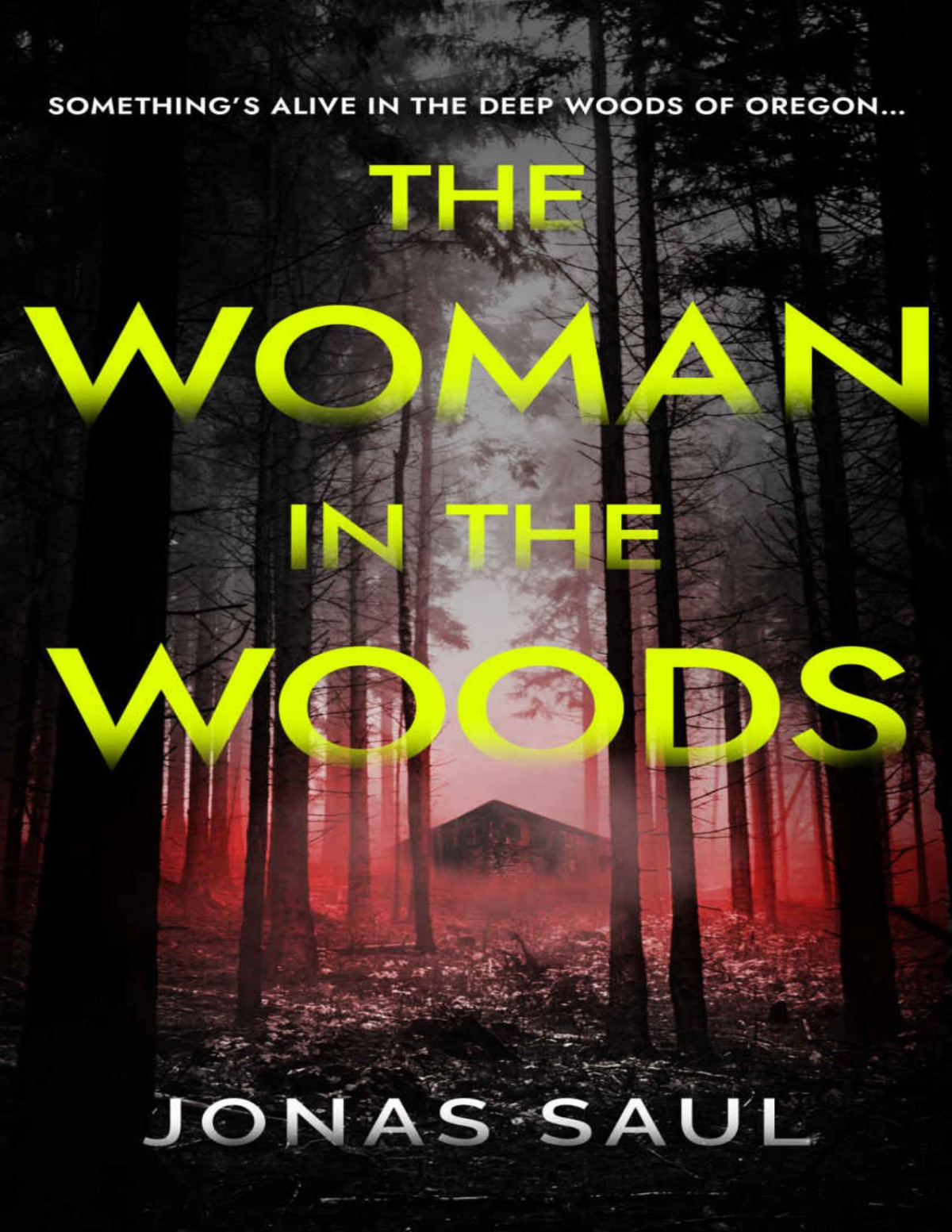 The Woman In The Woods A Dark Psychological Thriller Jonas Saul