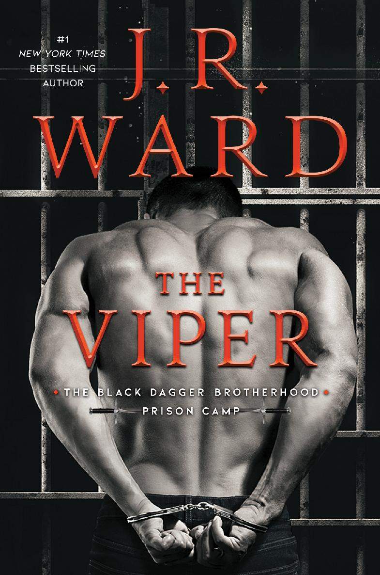Jrwardblackdaggerprisoncamp03thevipertradamatoriale Jr Ward
