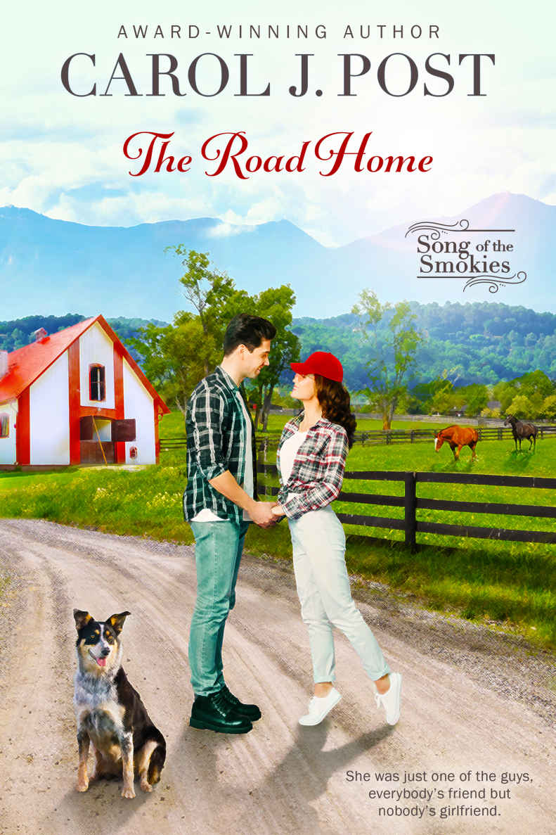 The Road Home Carol J Post