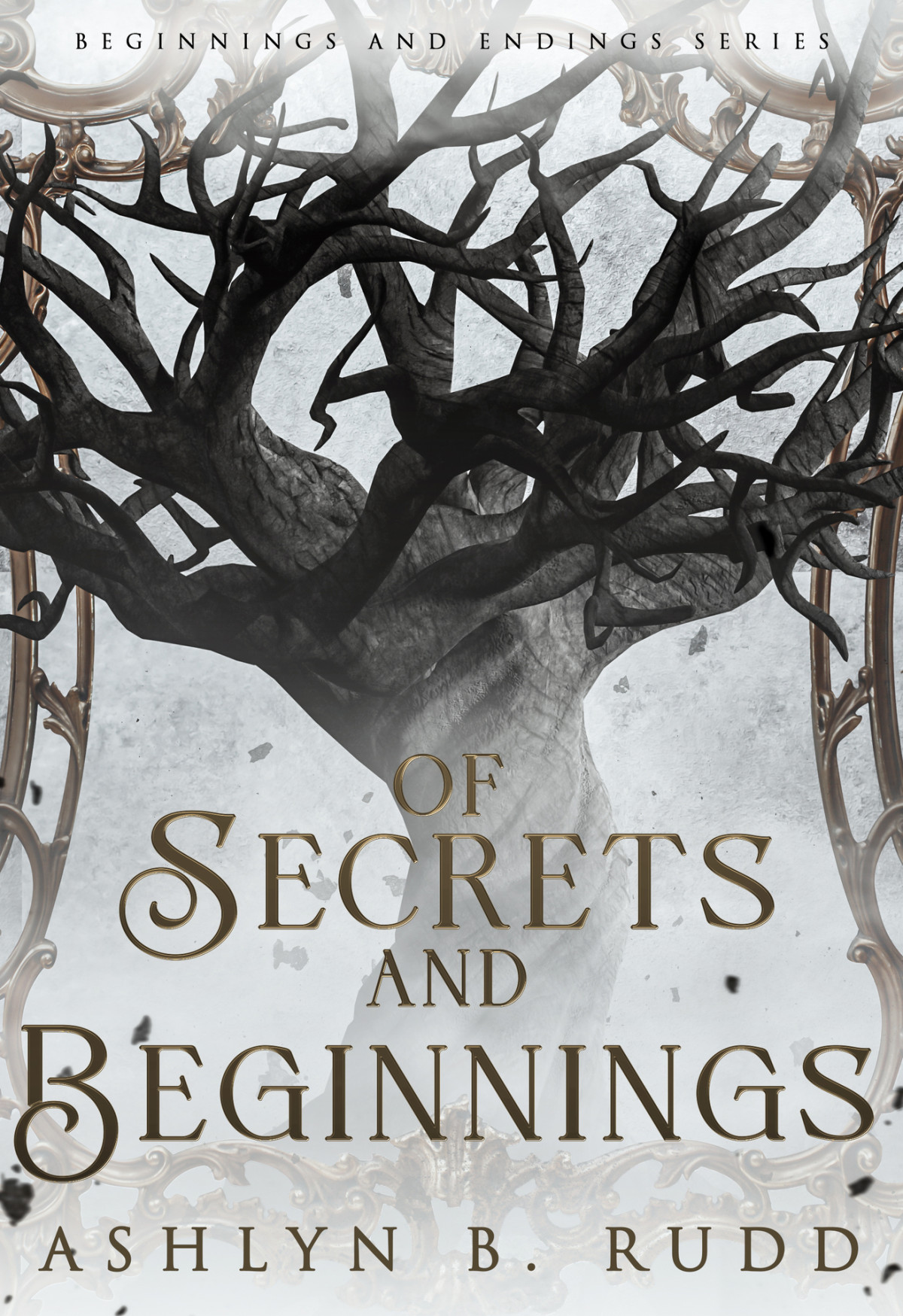 Of Secrets And Beginnings Beginnings And Endings Series Book 1 Ashlyn Rudd