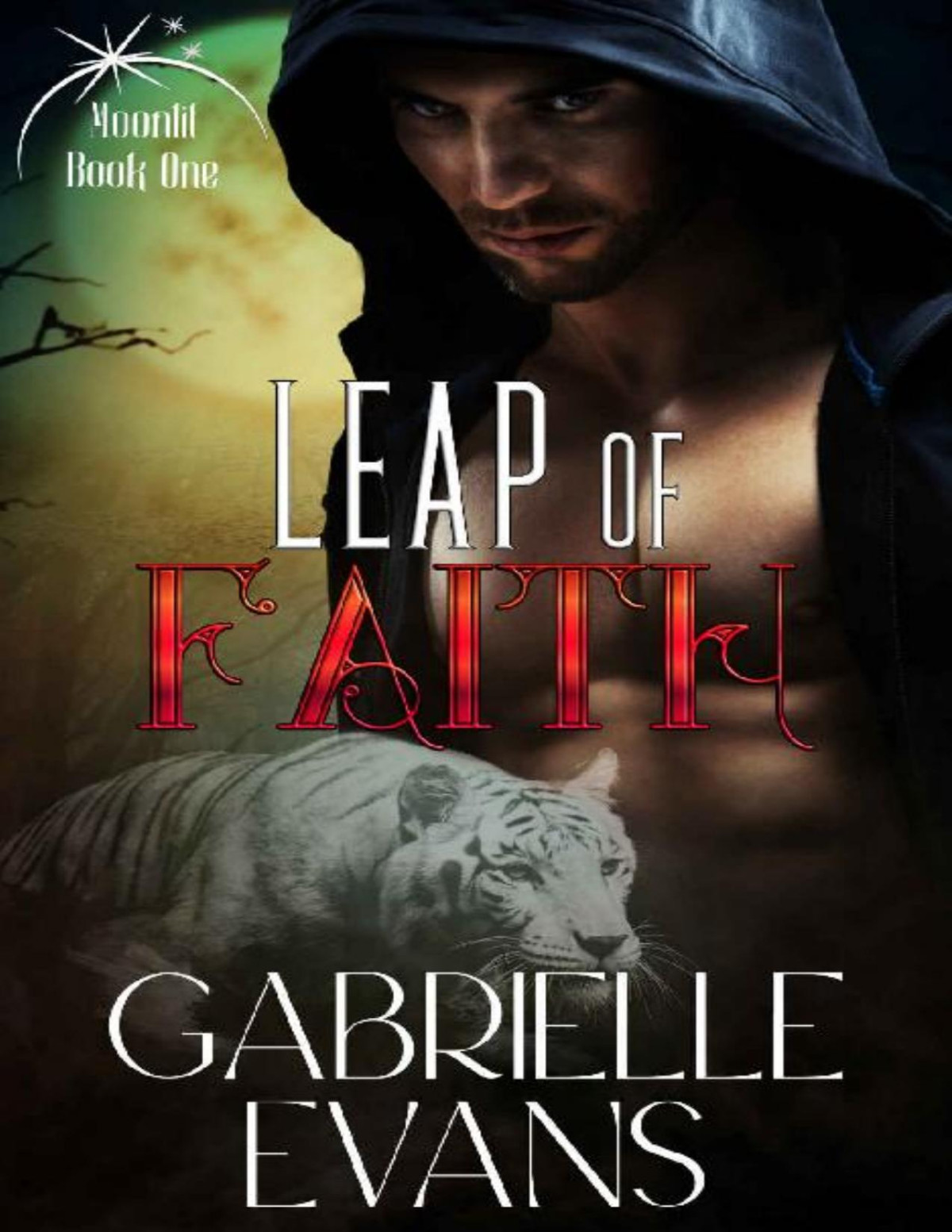 Leap Of Faith Moonlit Book 1 Gabrielle Evans