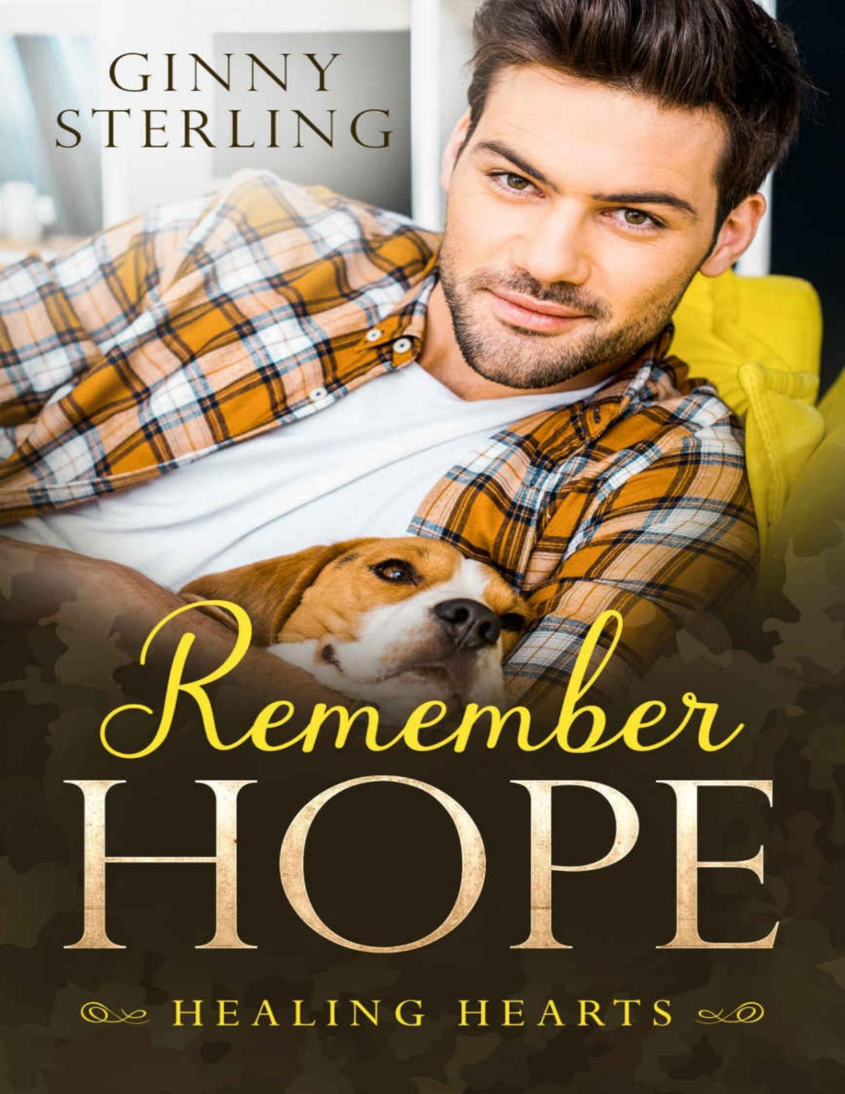 Remember Hope Healing Hearts Book 2 Converted Ginny Sterling