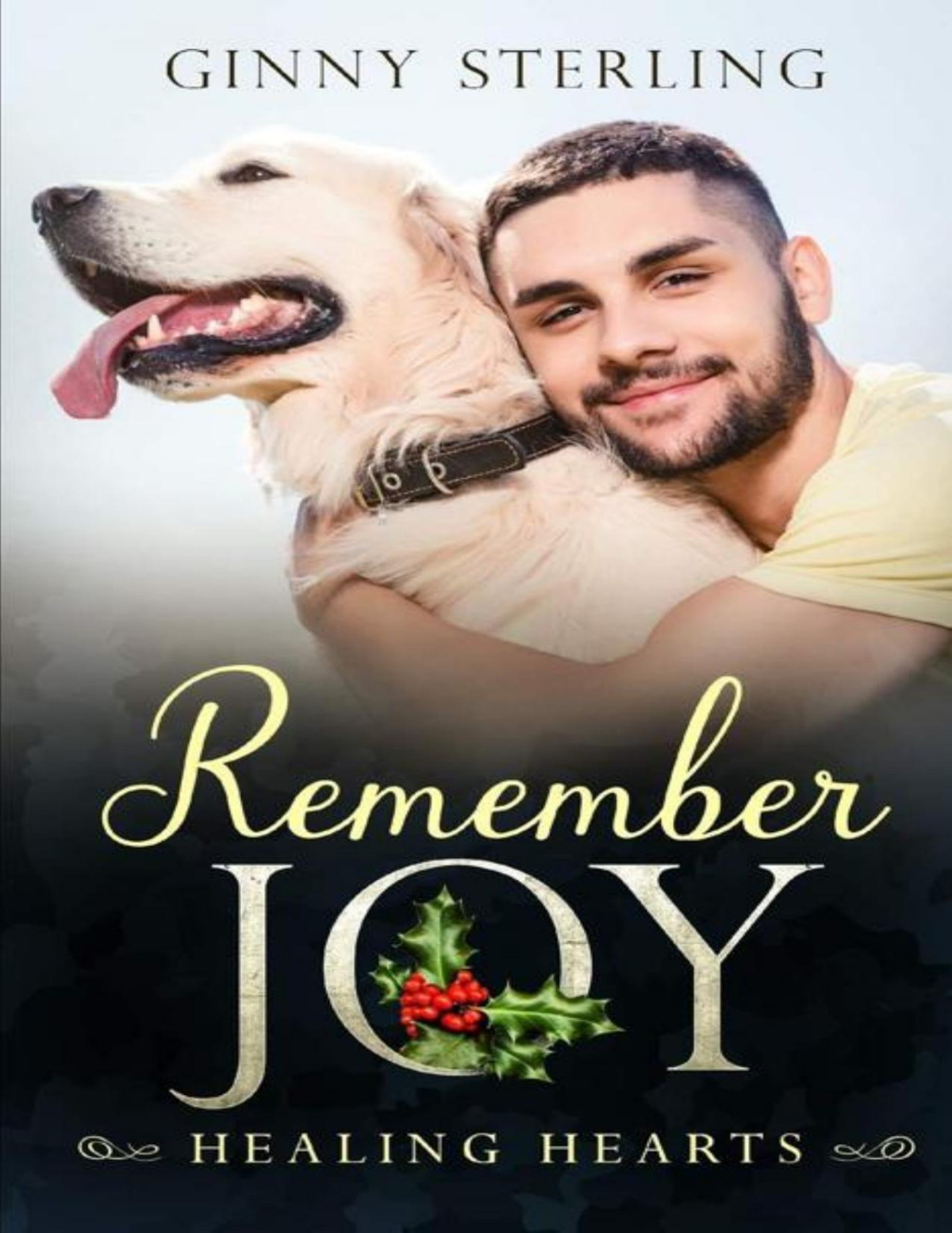 Remember Joy Healing Hearts Book 4 Converted Ginny Sterling