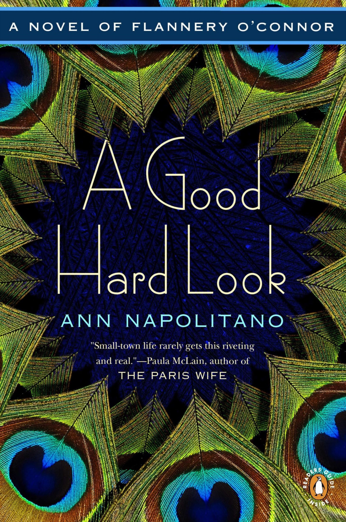 A Good Hard Look A Novel Of Flannery Oconnor Ann Napolitano