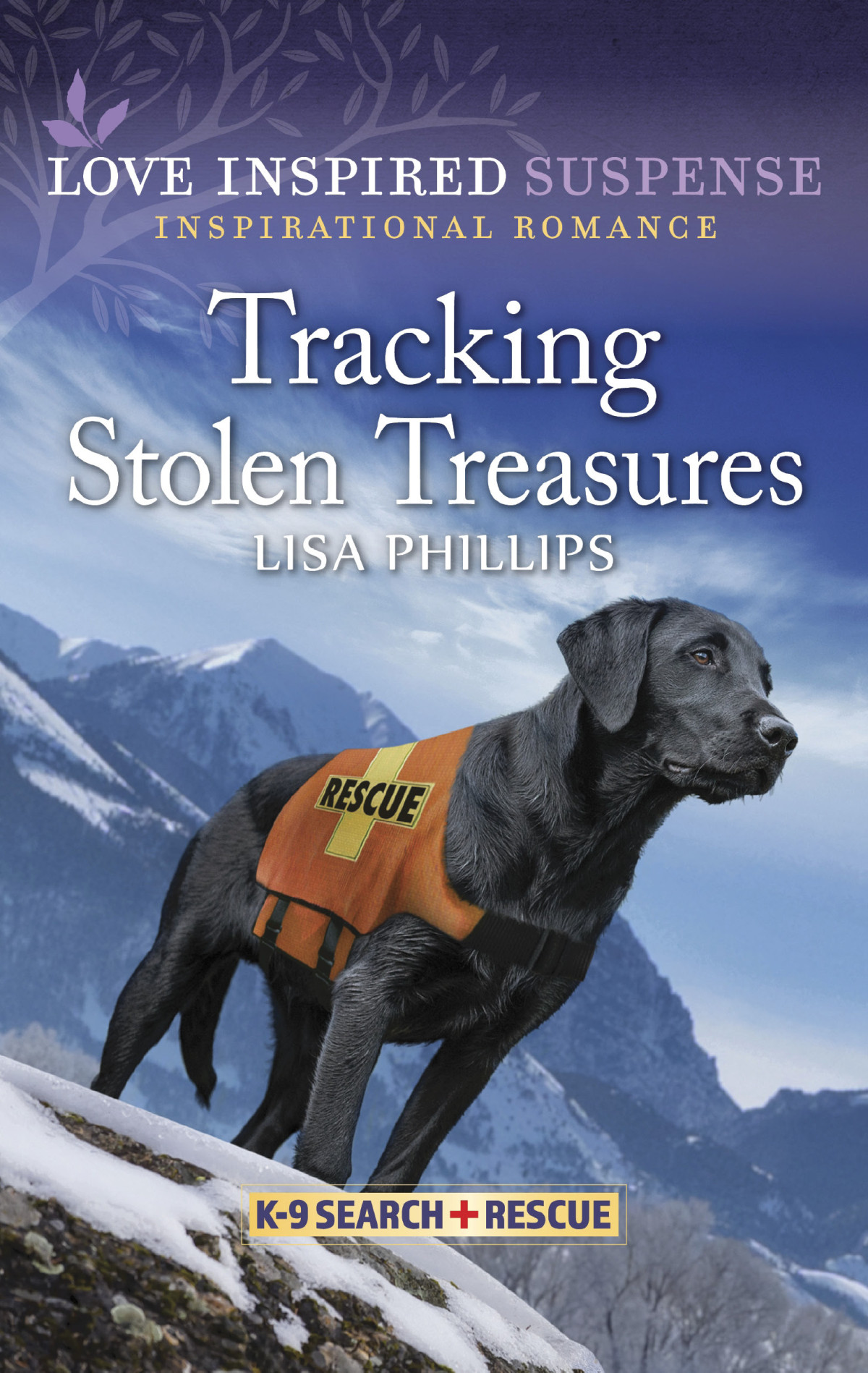 Tracking Stolen Treasures Lisa Phillips