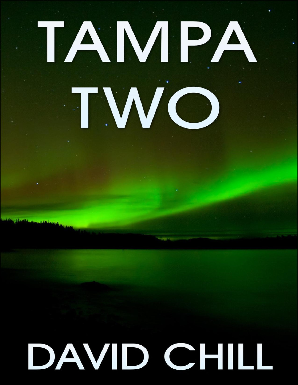 Tampa Two David Chill