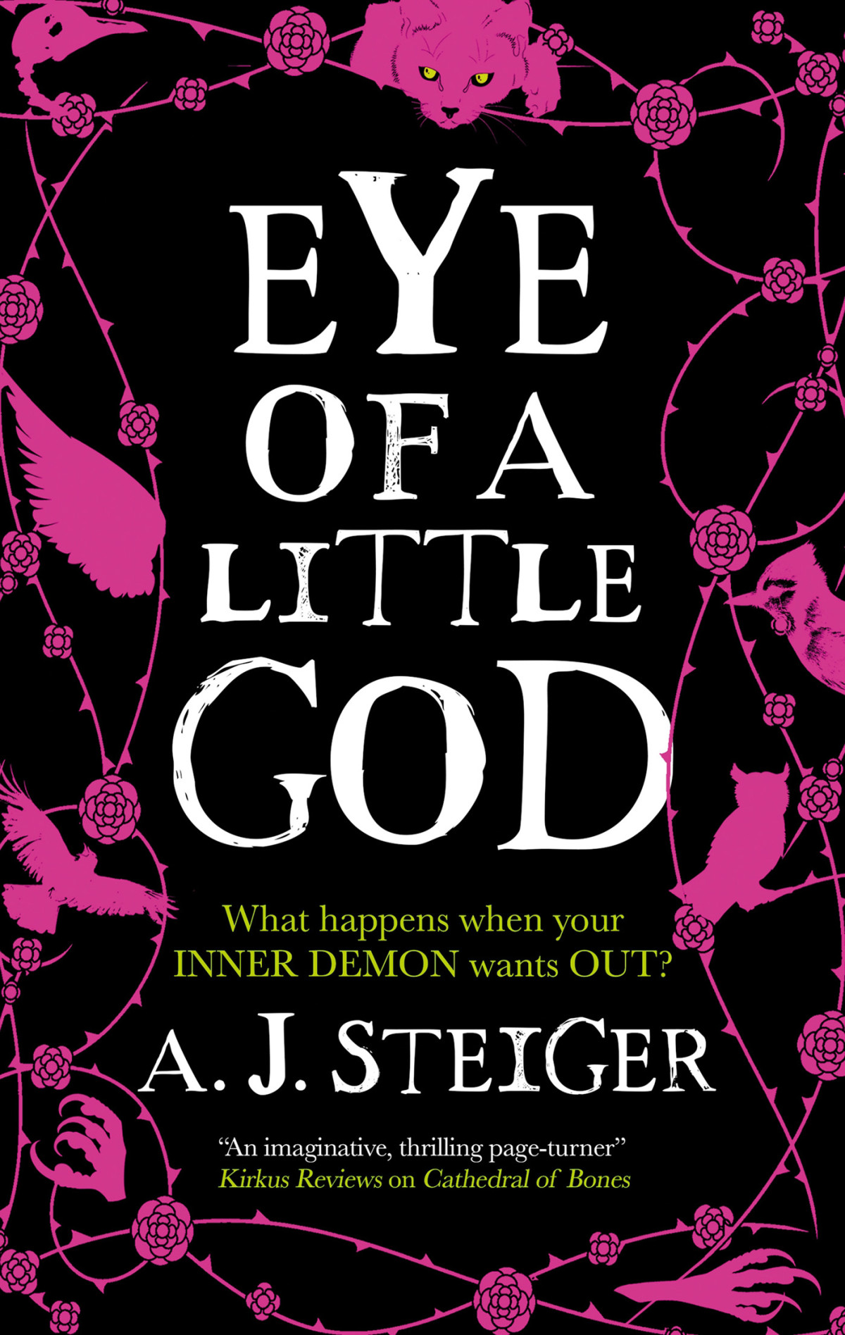 Eye Of A Little God Aj Steiger