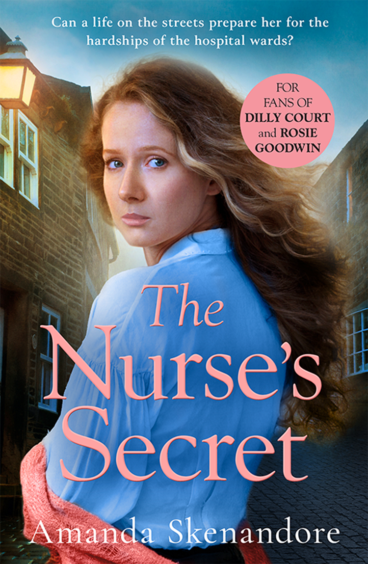The Nurses Secret Amanda Skenandore