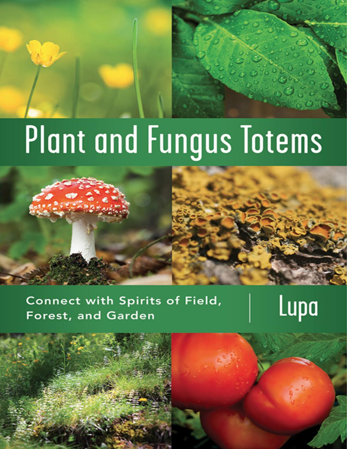 Plant And Fungus Totems Lupa