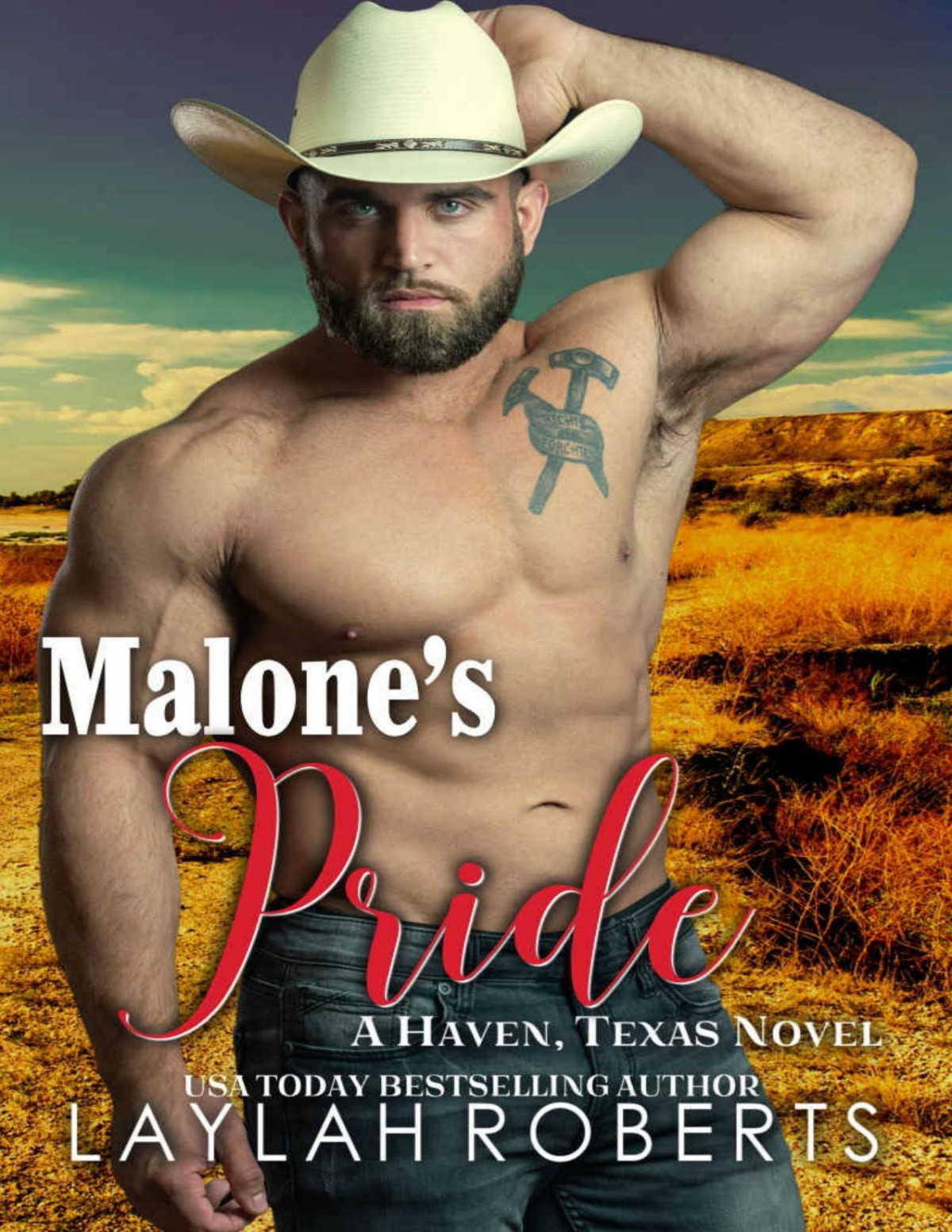 Malones Pride Haven Texas Book 13 1st Edition Laylah Roberts