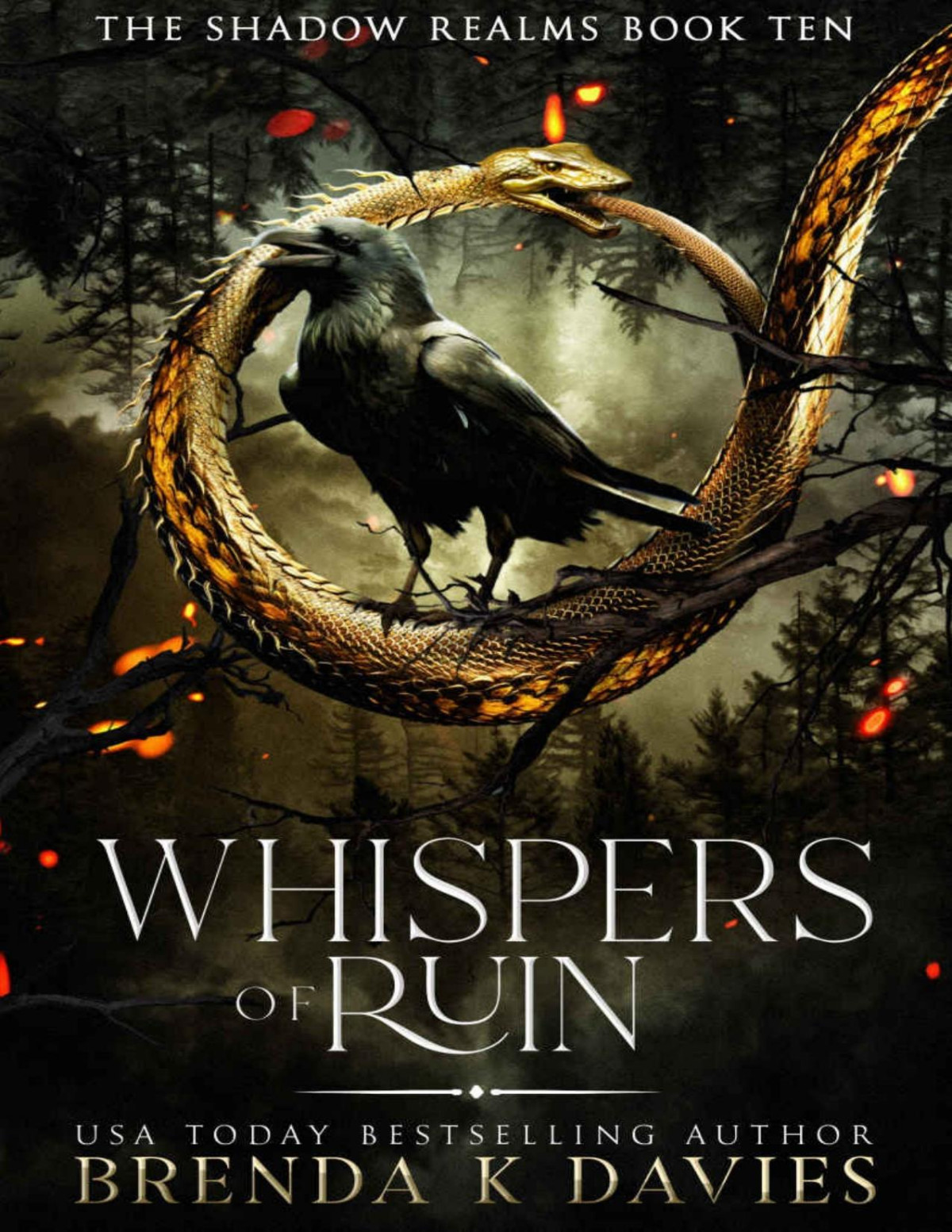 Whispers Of Ruin The Shadow Realms Book 10 Brenda K Davies