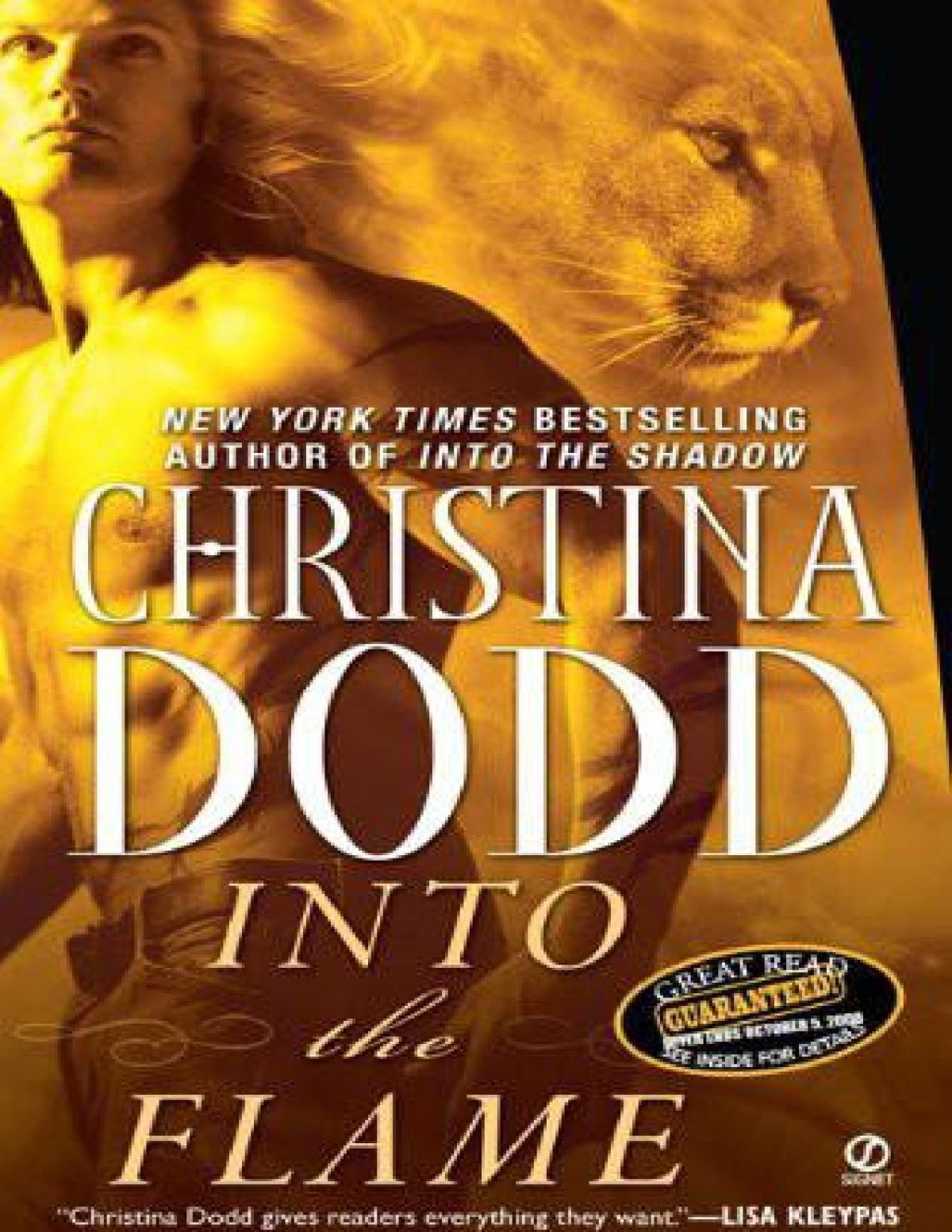 Into The Flame Christina Dodd