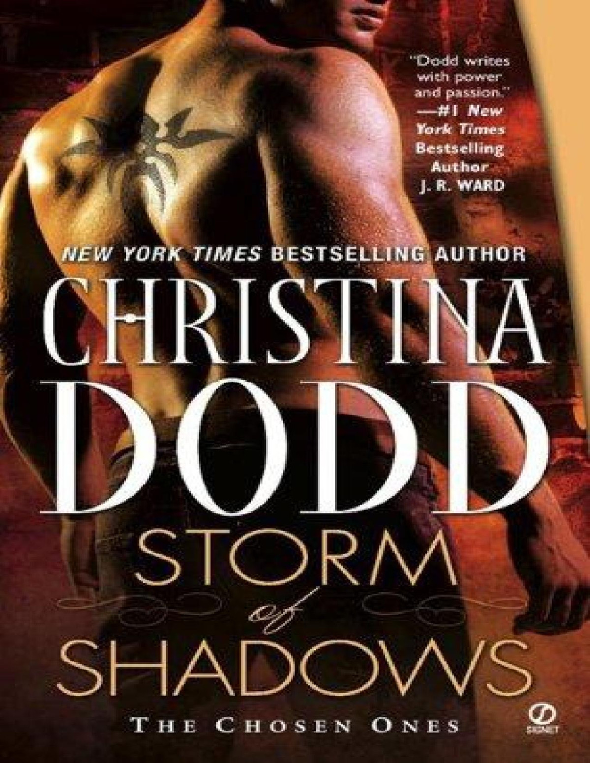 Storm Of Shadows Christina Dodd