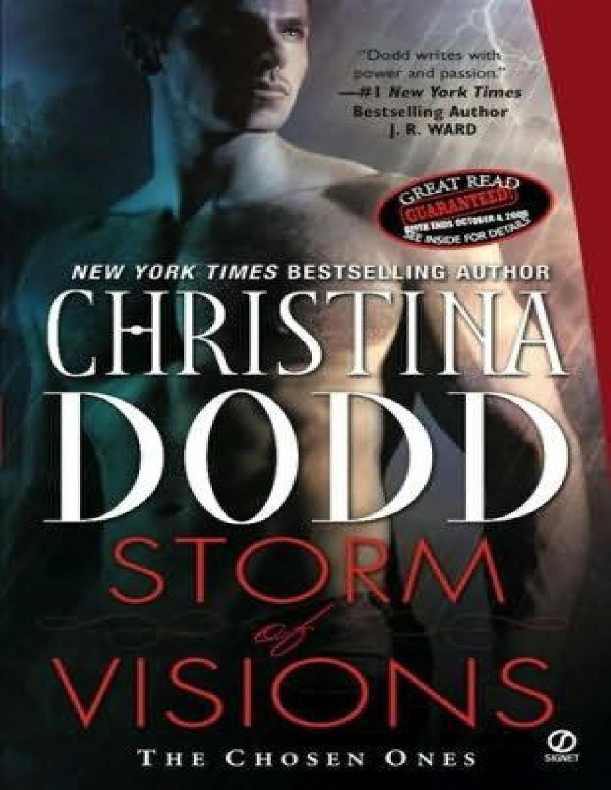 Storm Of Visions Christina Dodd