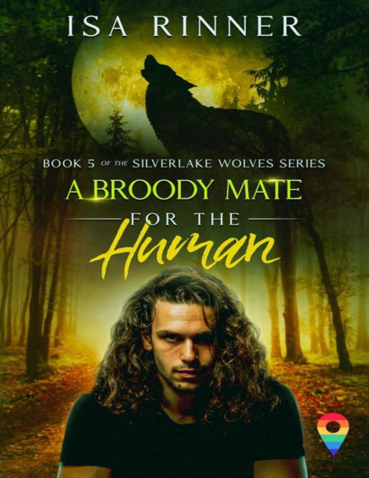 A Broody Mate For The Human Book 5 Of The Silverlake Wolves Series Isa Rinner