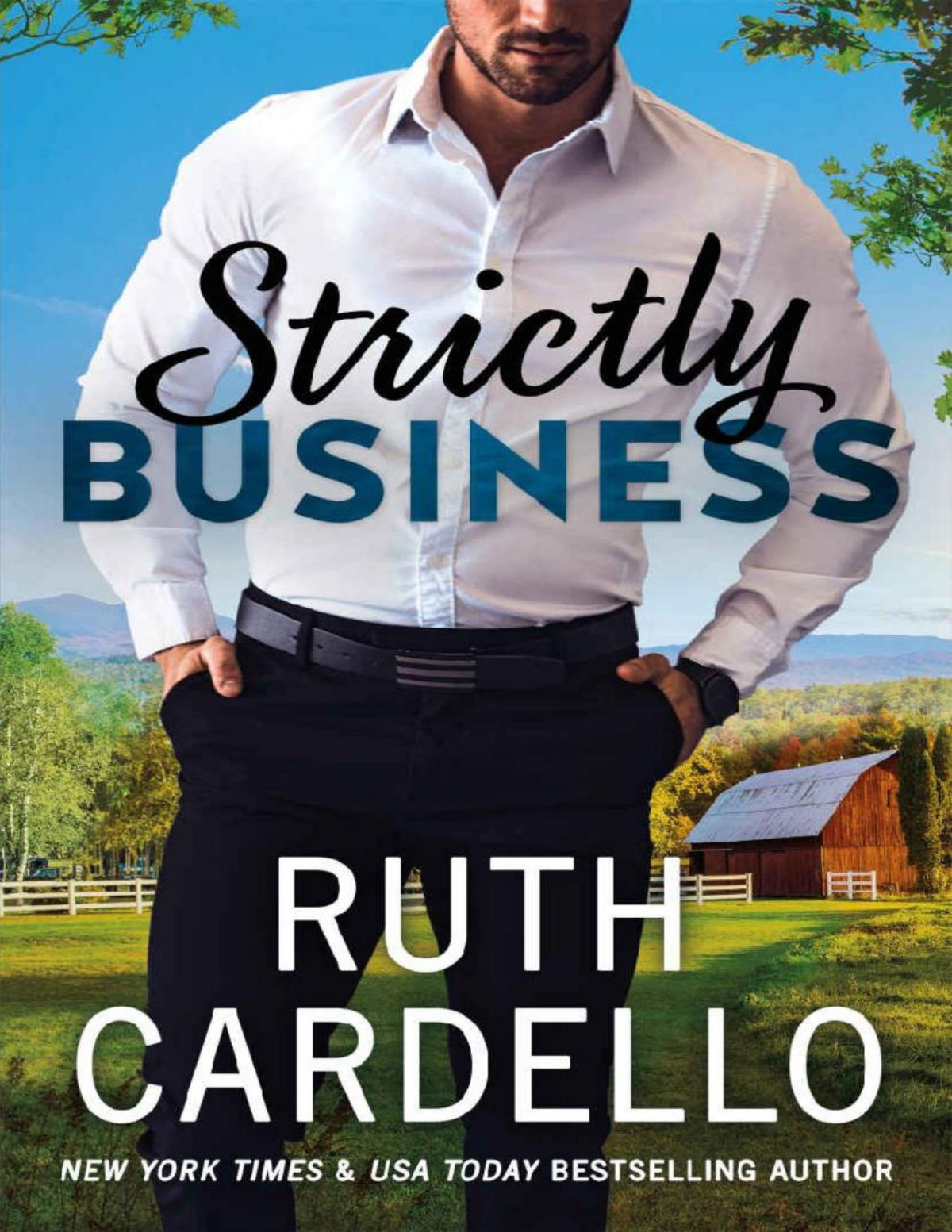 Strictly Business The Switch Ruth Cardello