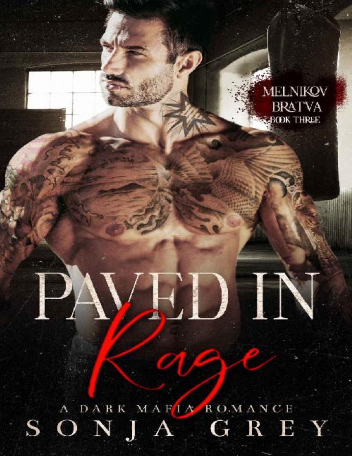 Paved In Rage A Dark Mafia Romance Melnikov Bratva Book 3 Sonja Grey
