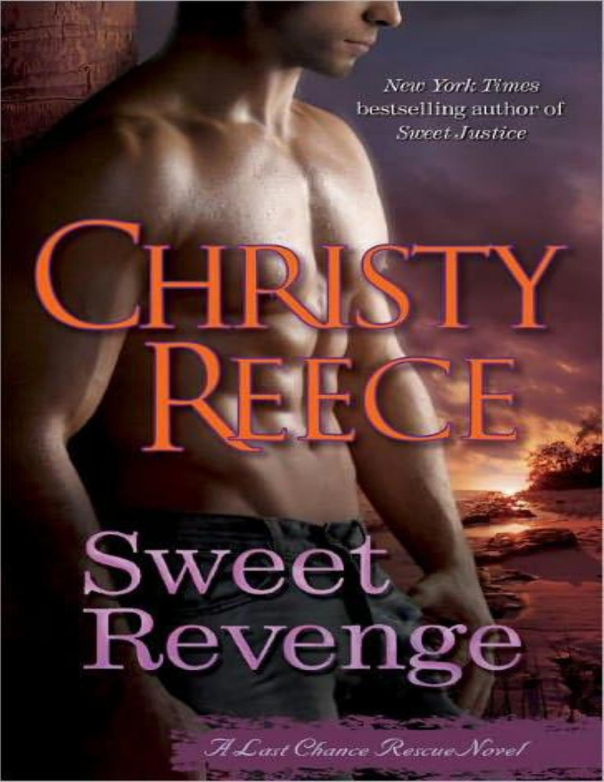 Sweet Revenge Christy Reece