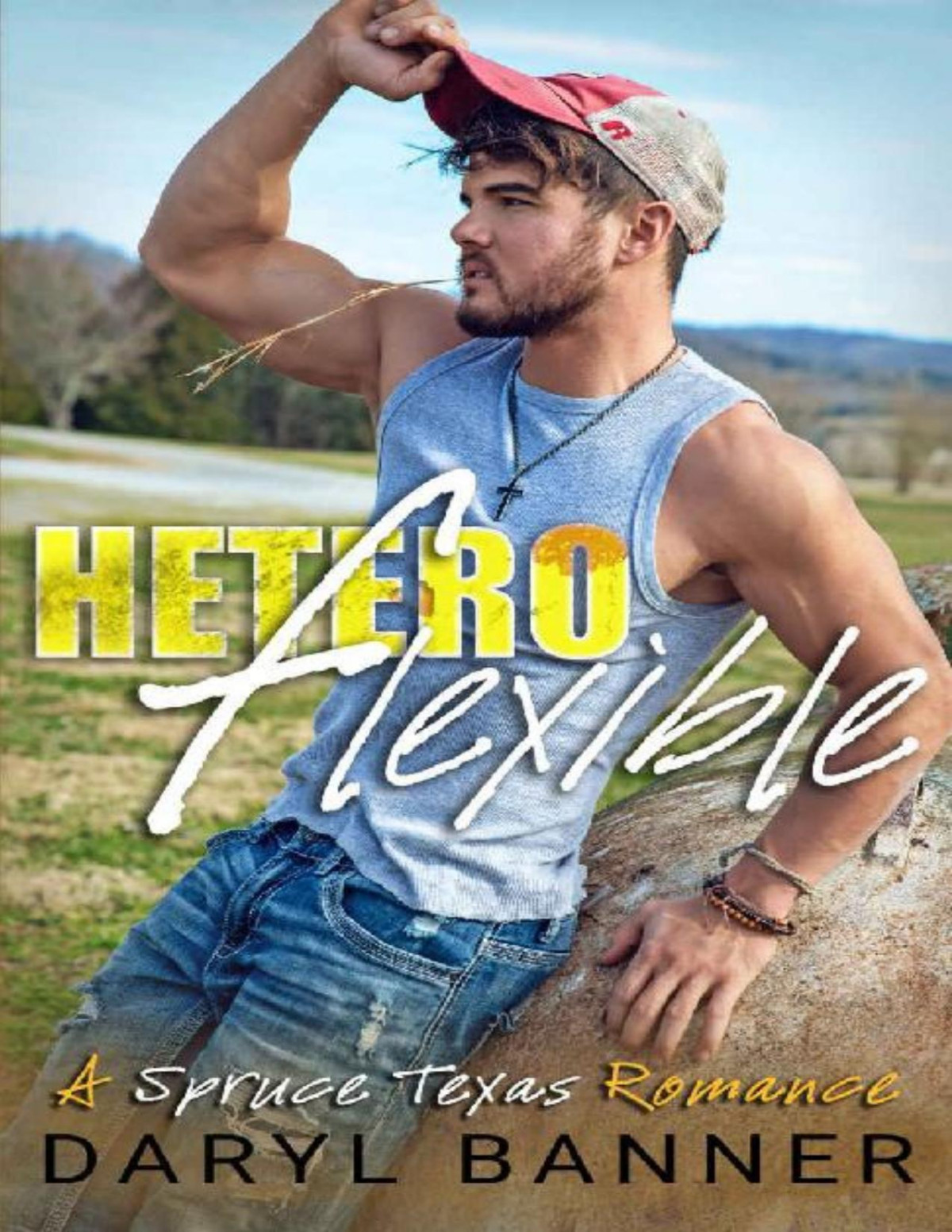 Heteroflexible A Spruce Texas Romance Book 3 Daryl Banner