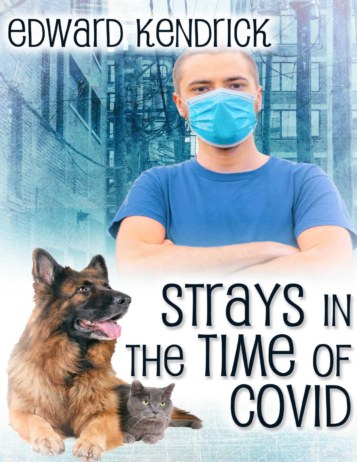 Strays In The Time Of Covid Edward Kendrick