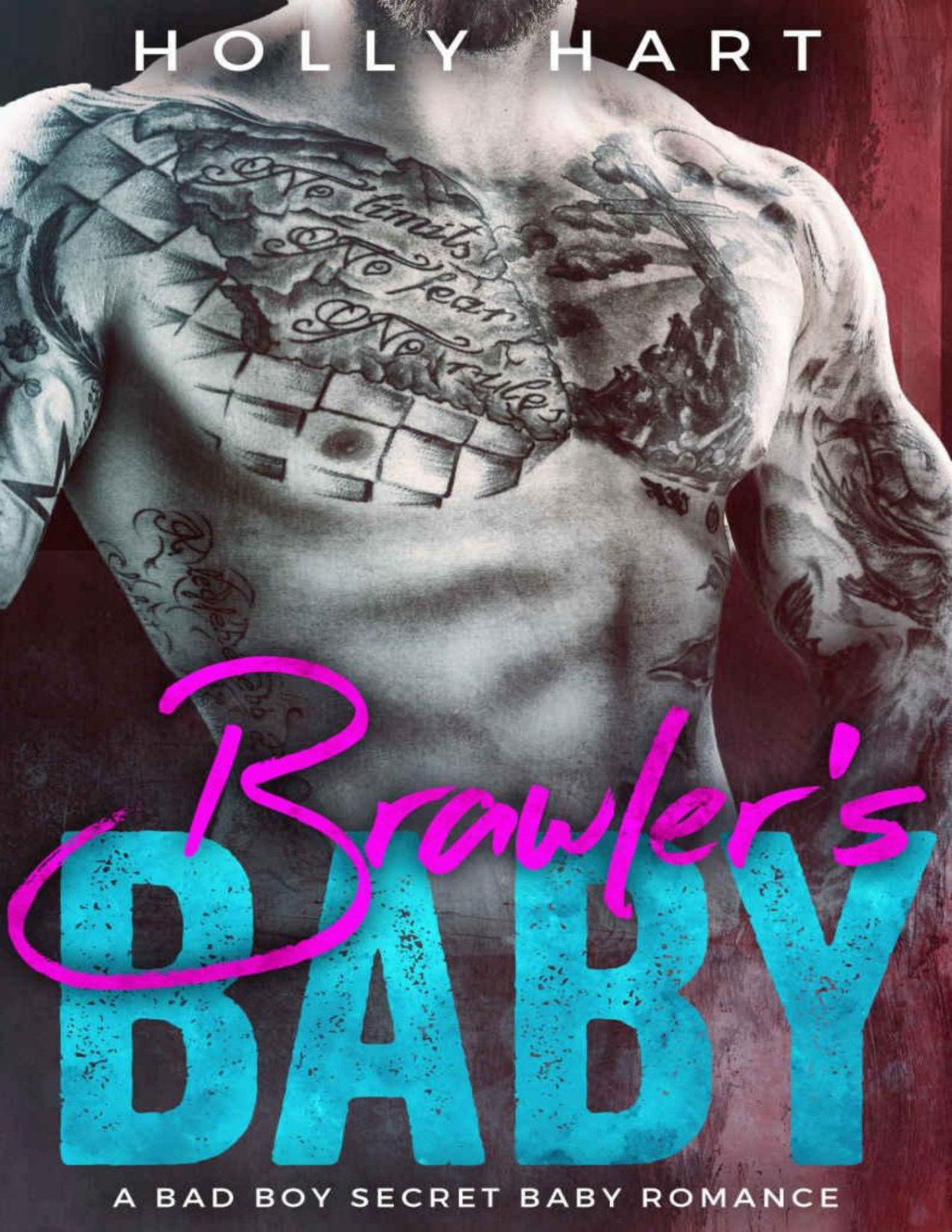 Brawlers Baby An Mma Mob Romance Mob City Book 1 Holly Hart