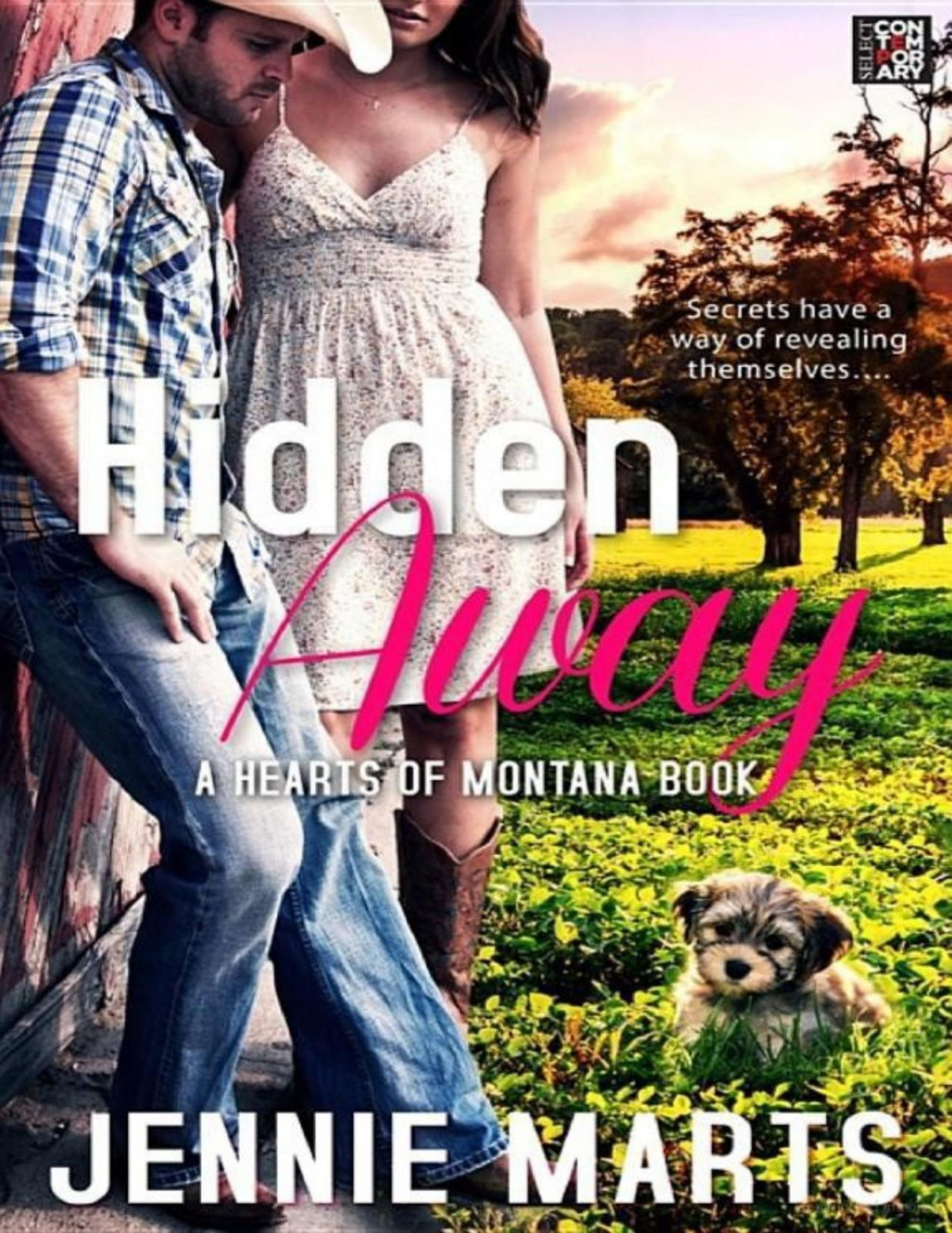 Hidden Away Jennie Marts