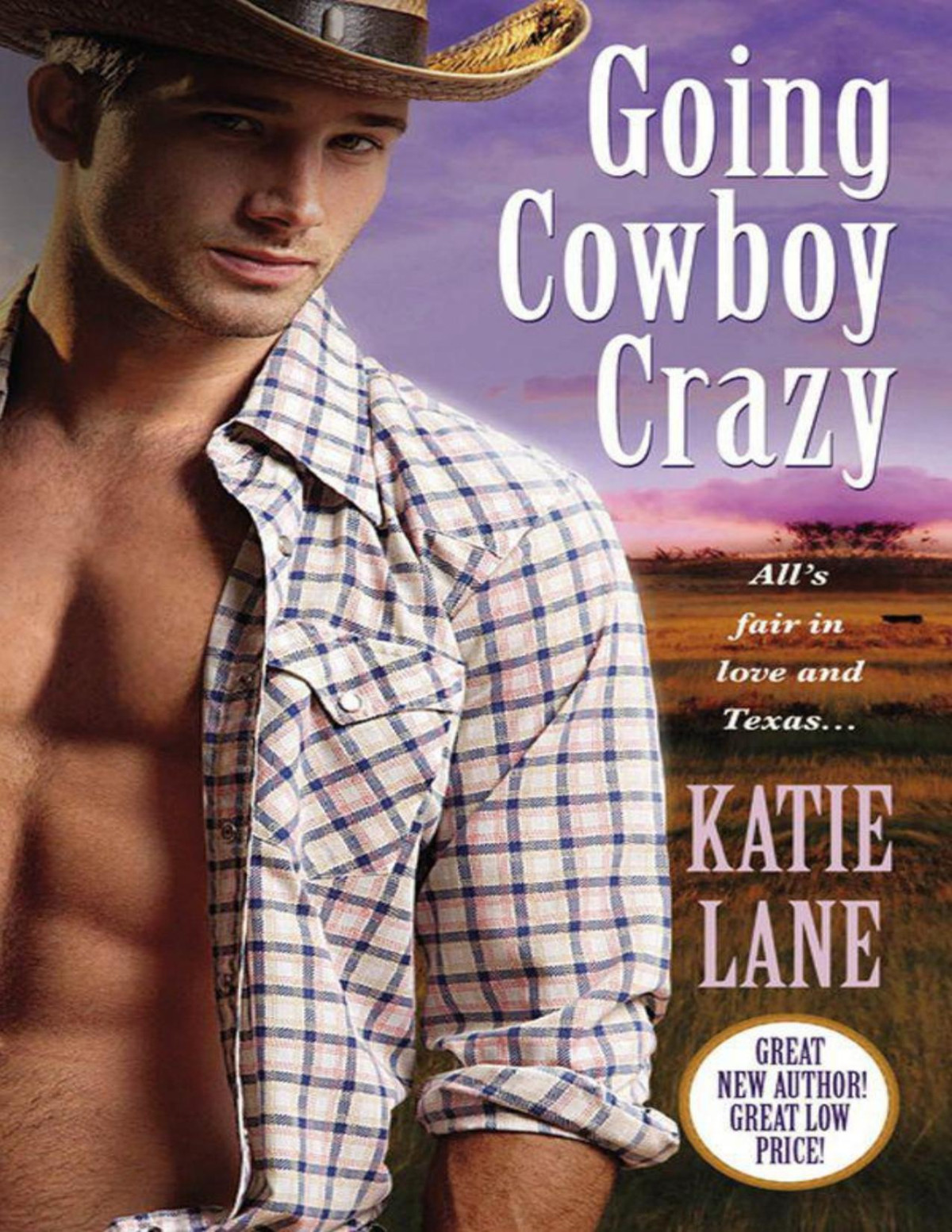 Going Cowboy Crazy Katie Lane