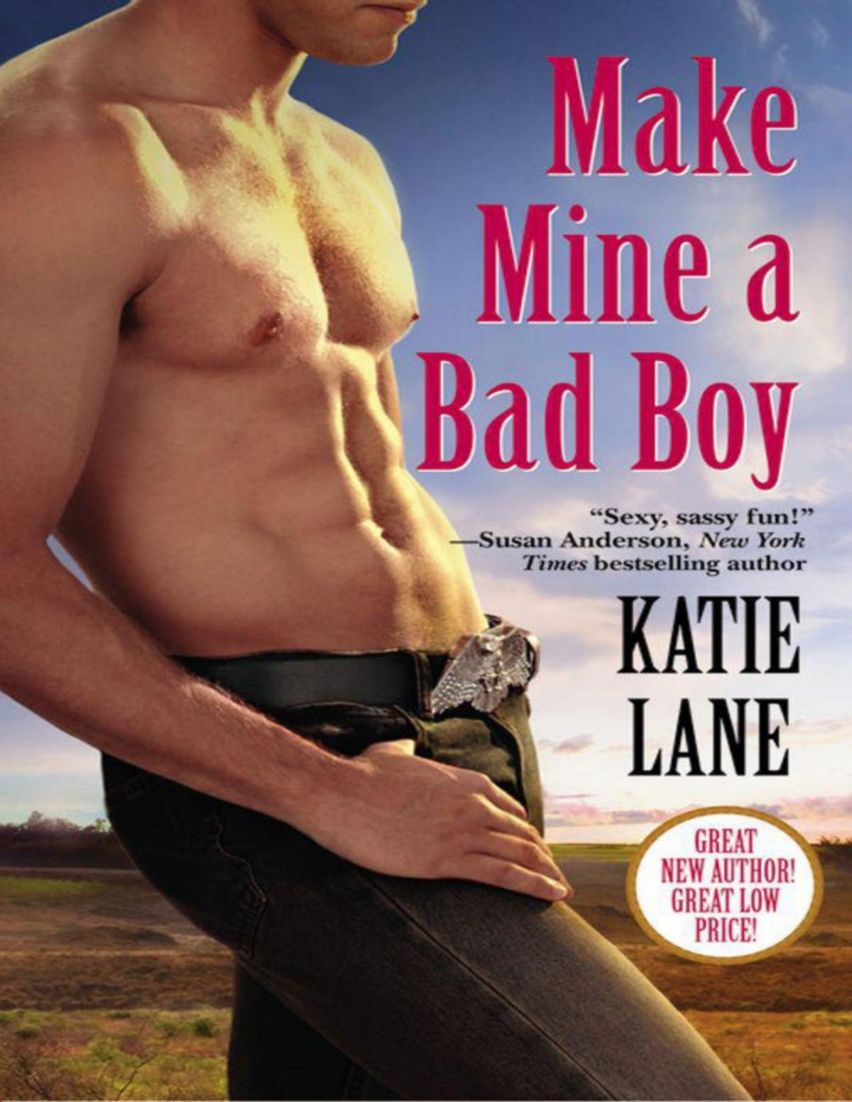 Make Mine A Bad Boy Katie Lane