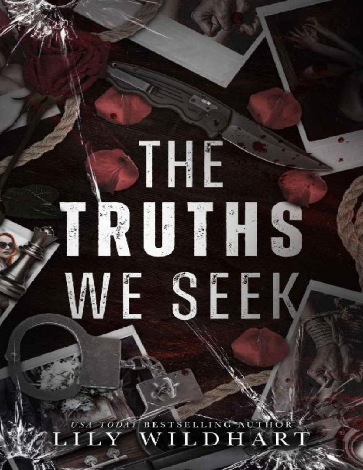 The Truths We Seek Lily Wildhart