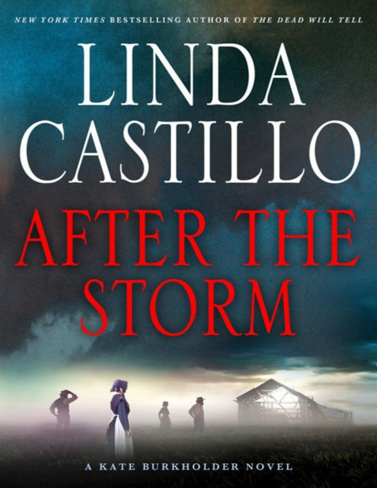 After The Storm A Kate Burkholder Novel Linda Castillo