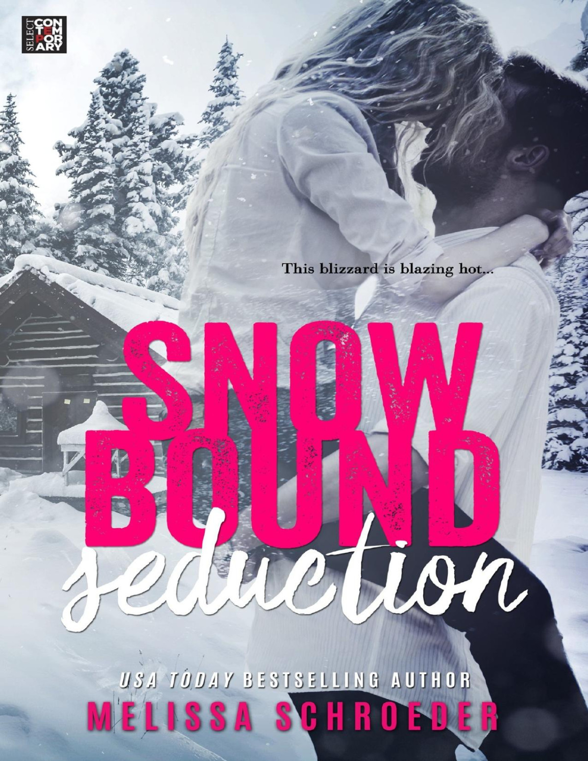 Snowbound Seduction Melissa Schroeder