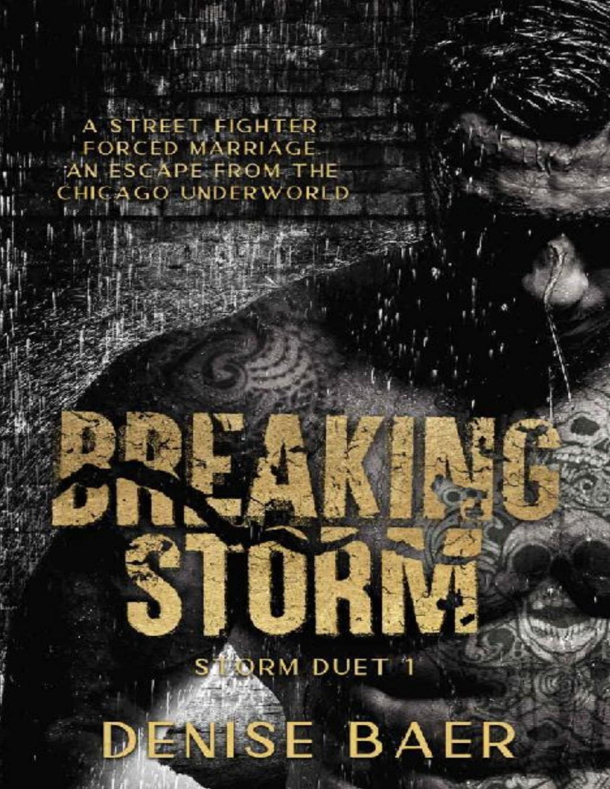 Breaking Storm A Dark Chicago Underworld Romantic Suspense Storm Duet 1 A Dark Chicago Underworld Romantic Suspense Storm Duet Denise Baer