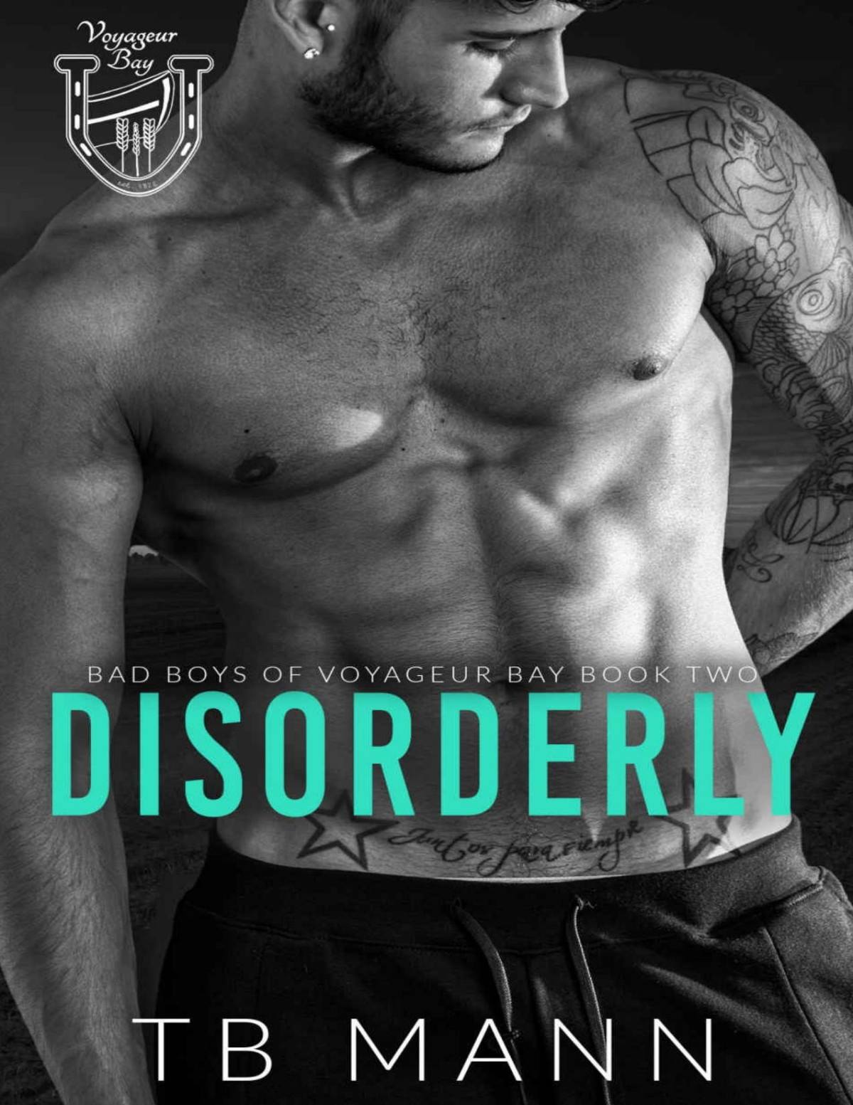 Disorderly A Sharing Love Romance Tb Mann