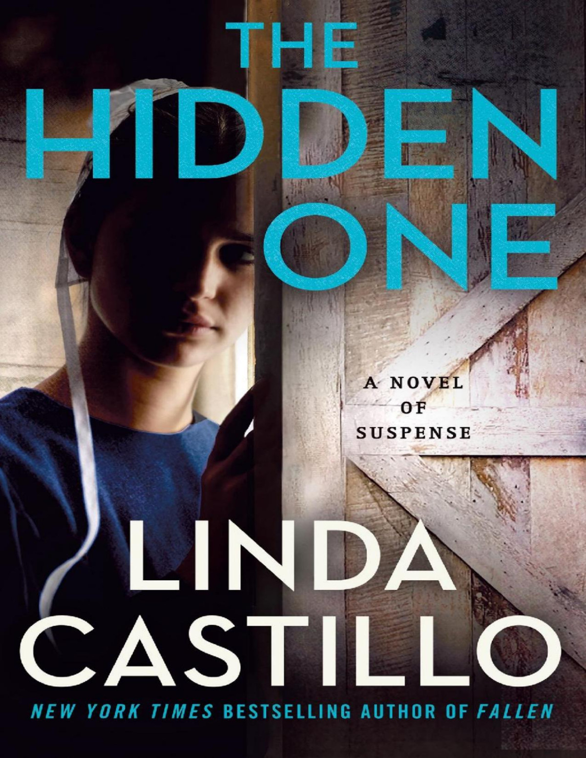 Kate Burkholder 14 The Hidden One Linda Castillo