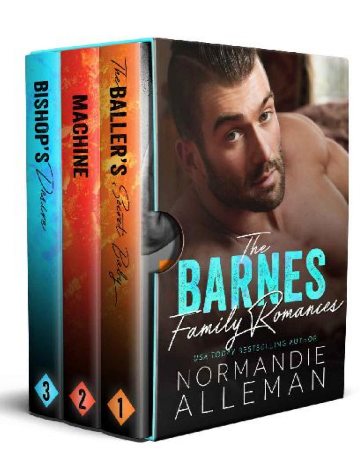 The Barnes Family Romances Books 13 Normandie Alleman