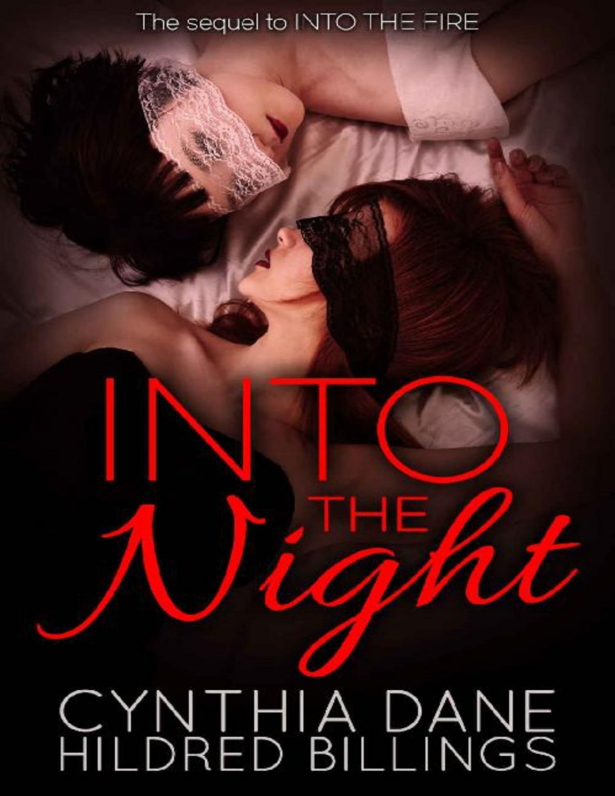 Into The Night Mitch Vanessa Book 2 Cynthia Dane Hildred Billings