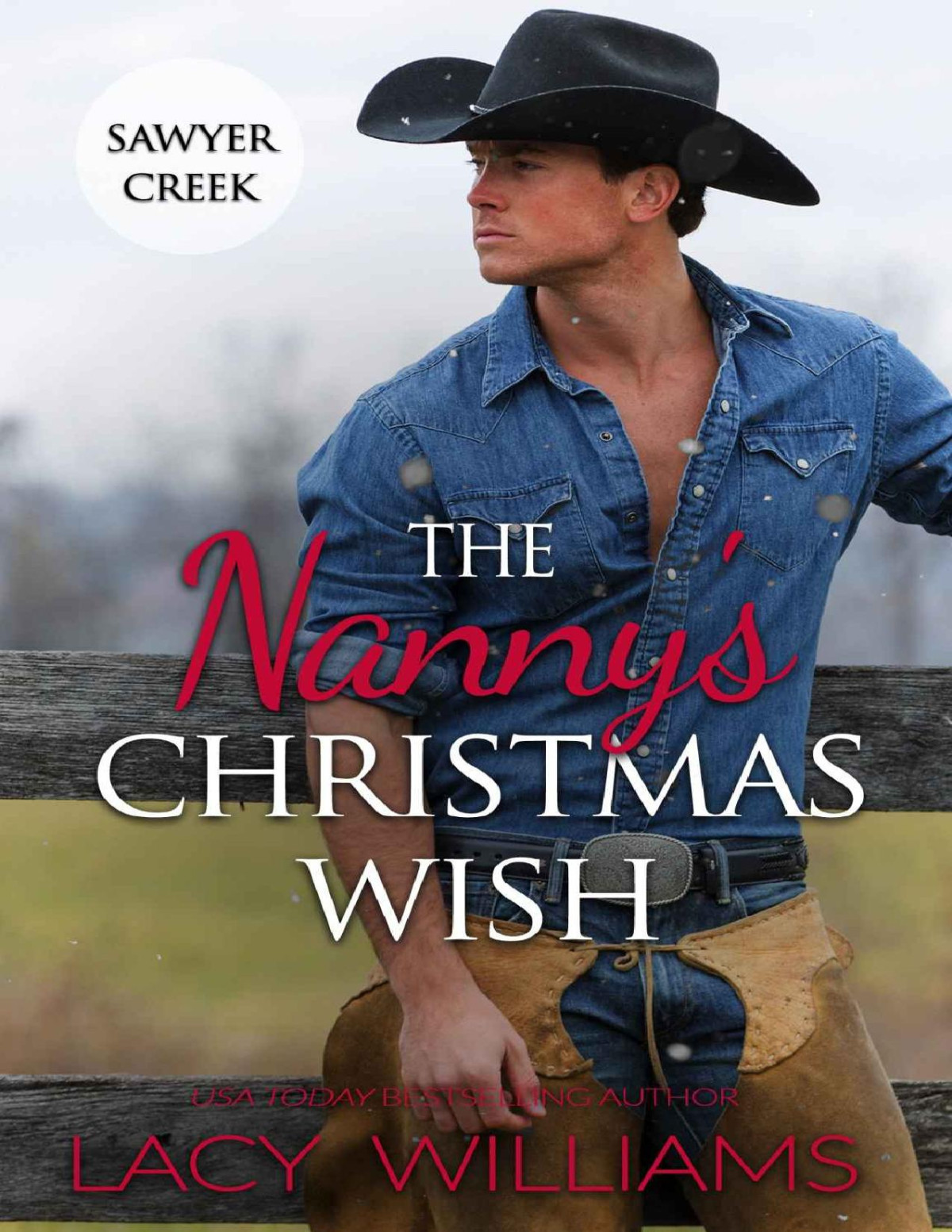 The Nannys Christmas Wish Lacy Williams