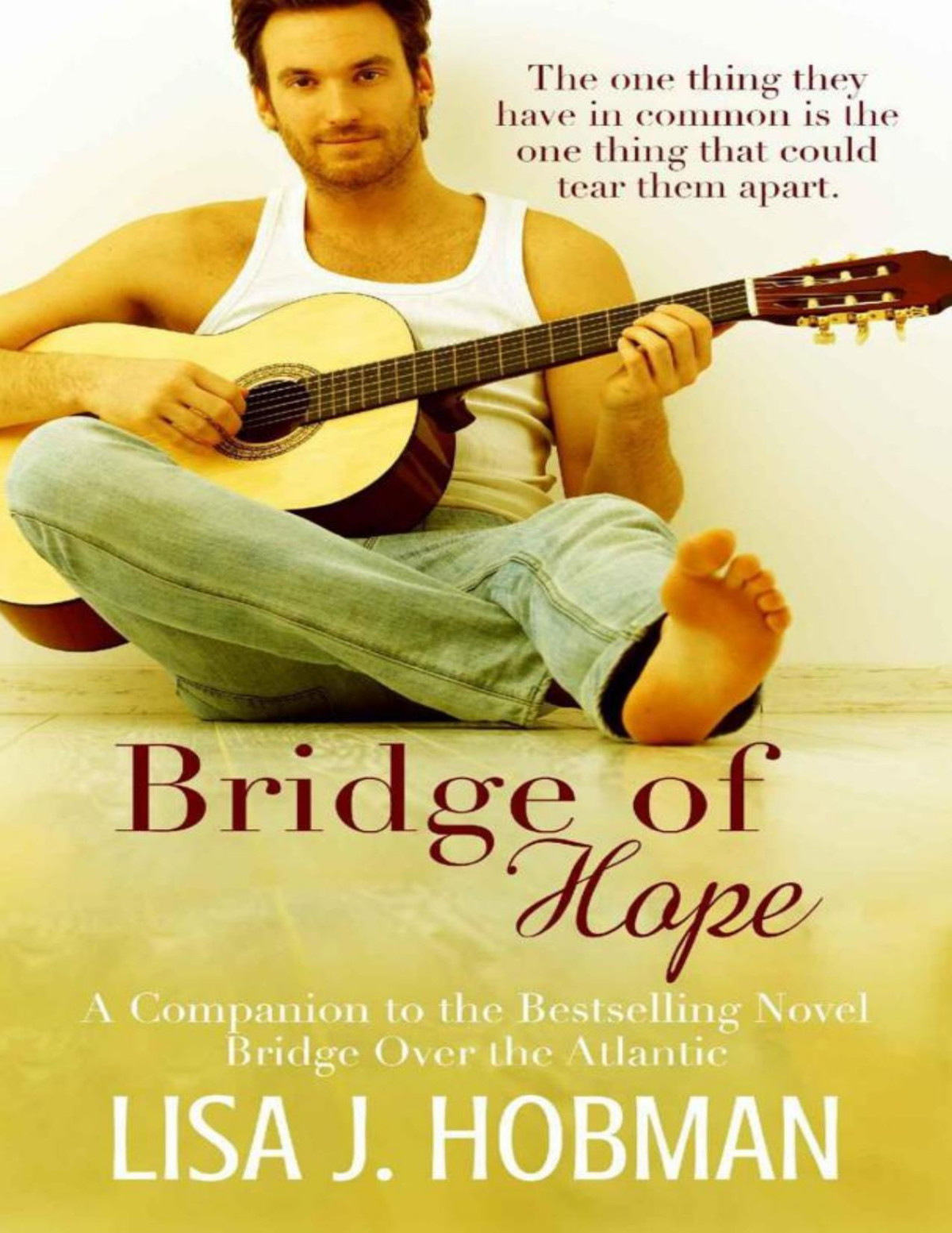 Bridge Of Hope Lisa J Hobman