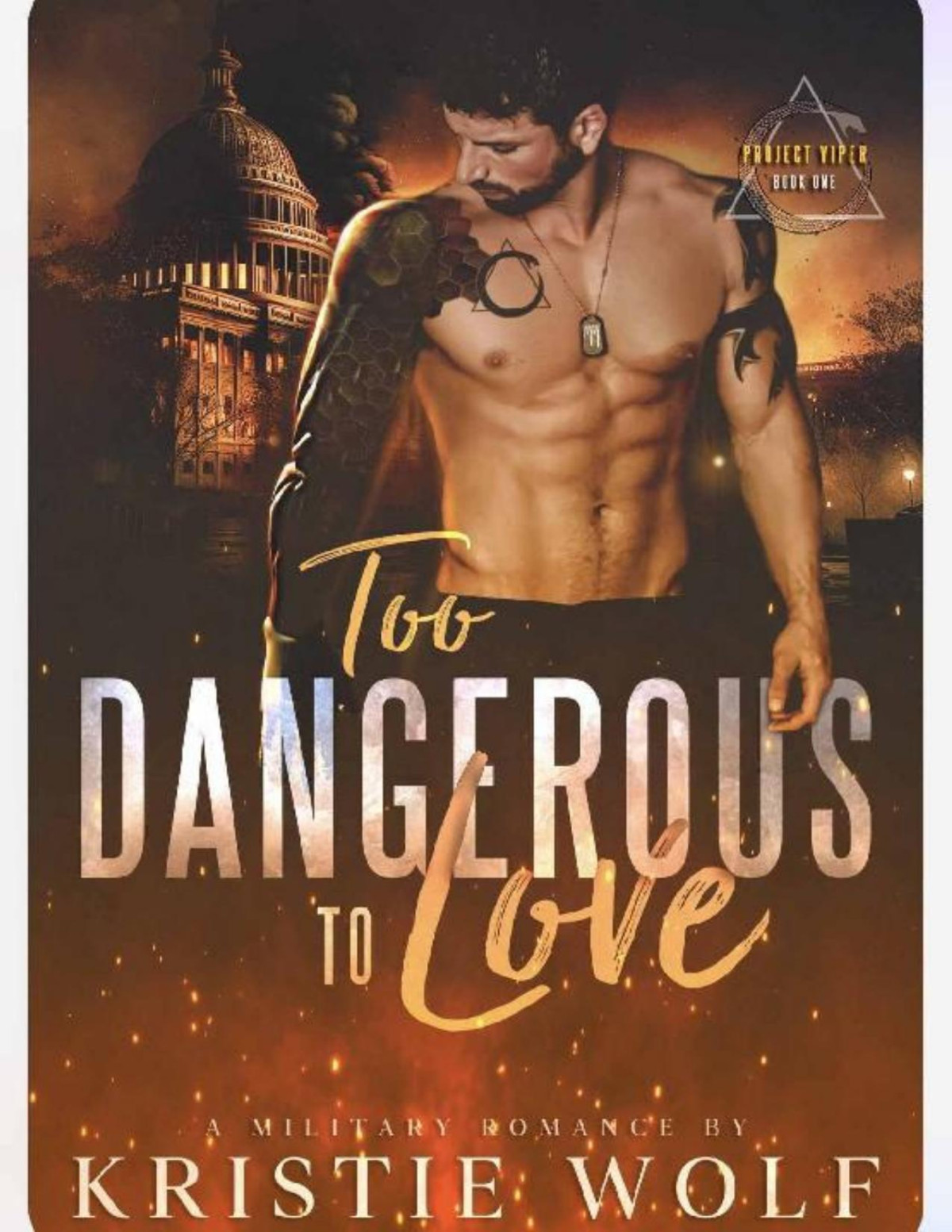 Too Dangerous To Love Project Viper Book One Kristie Wolf