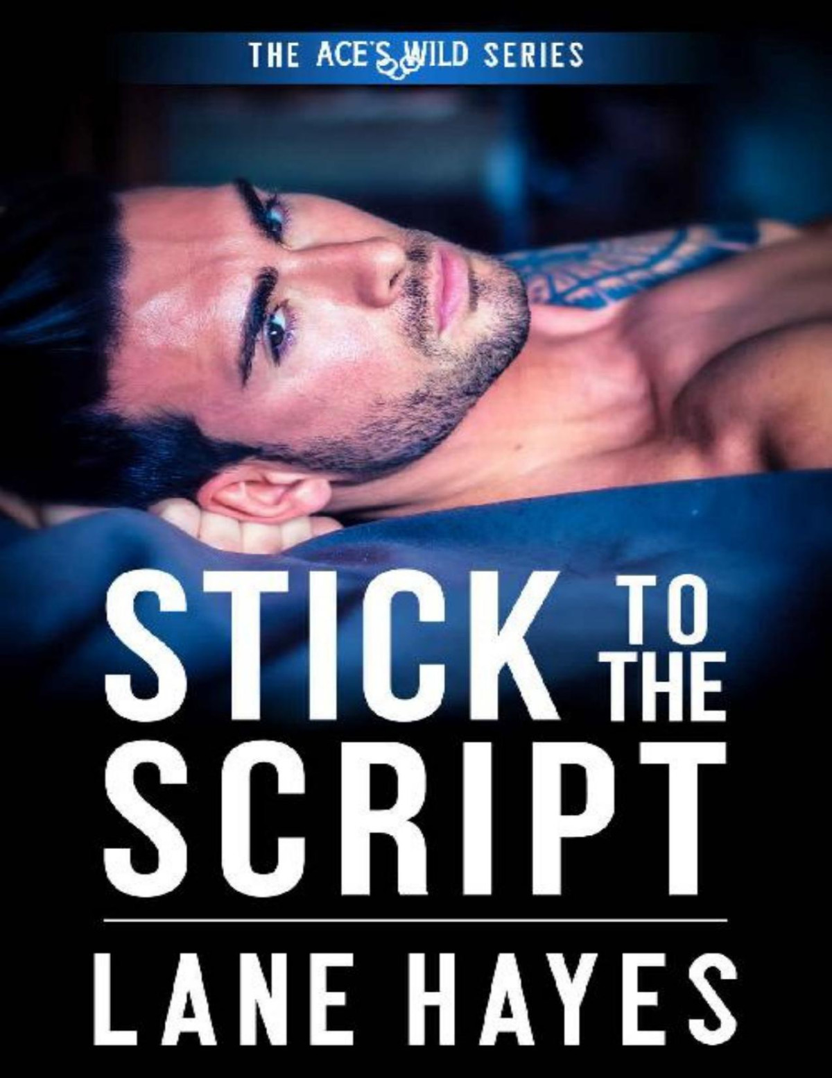 Stick To The Script Aces Wild Book 13 Lane Hayes