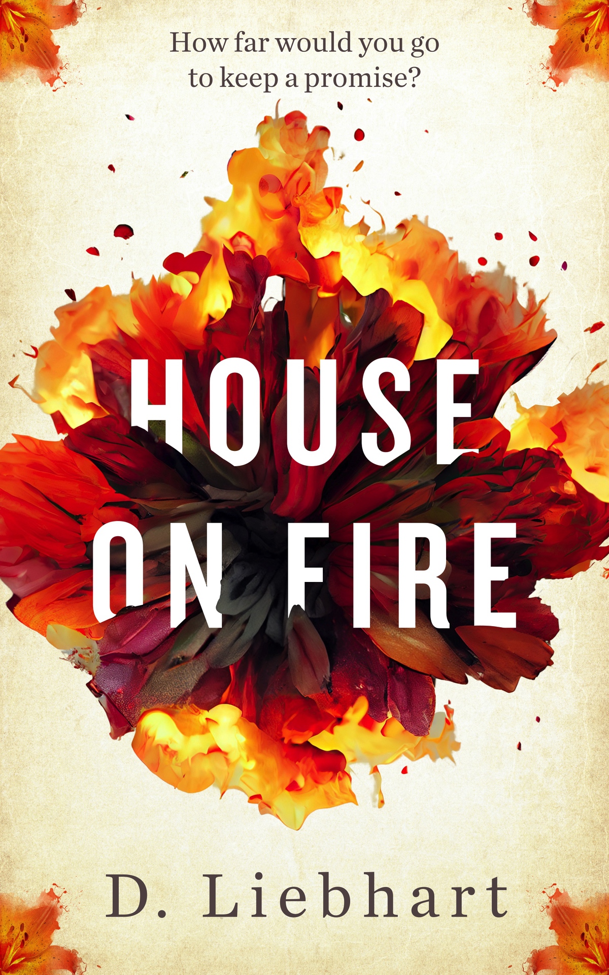 House On Fire D Liebhart